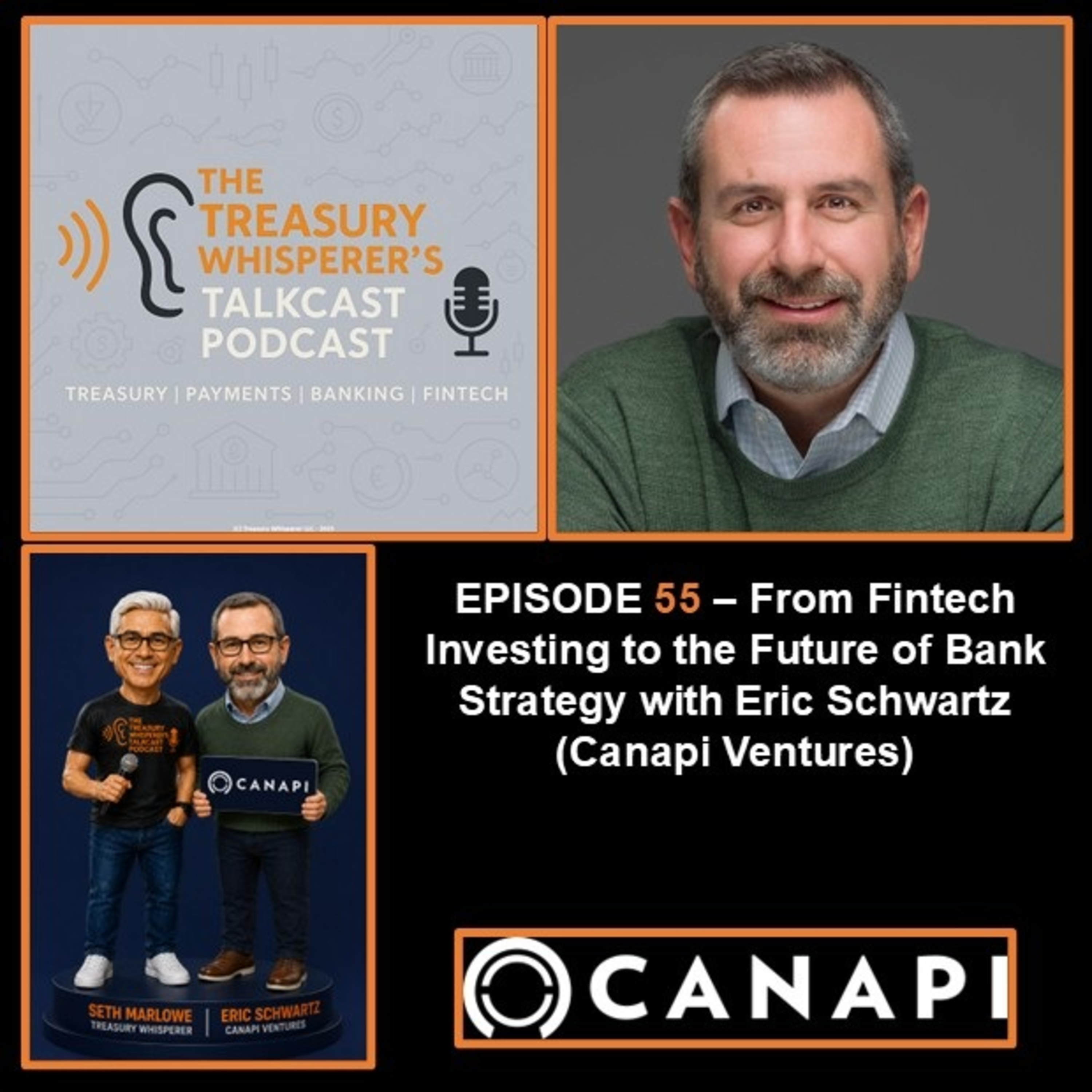 Episode 55 - From Fintech Investing to the Future of Bank Strategy with Eric Schwartz (Canapi Ventures) episode artwork