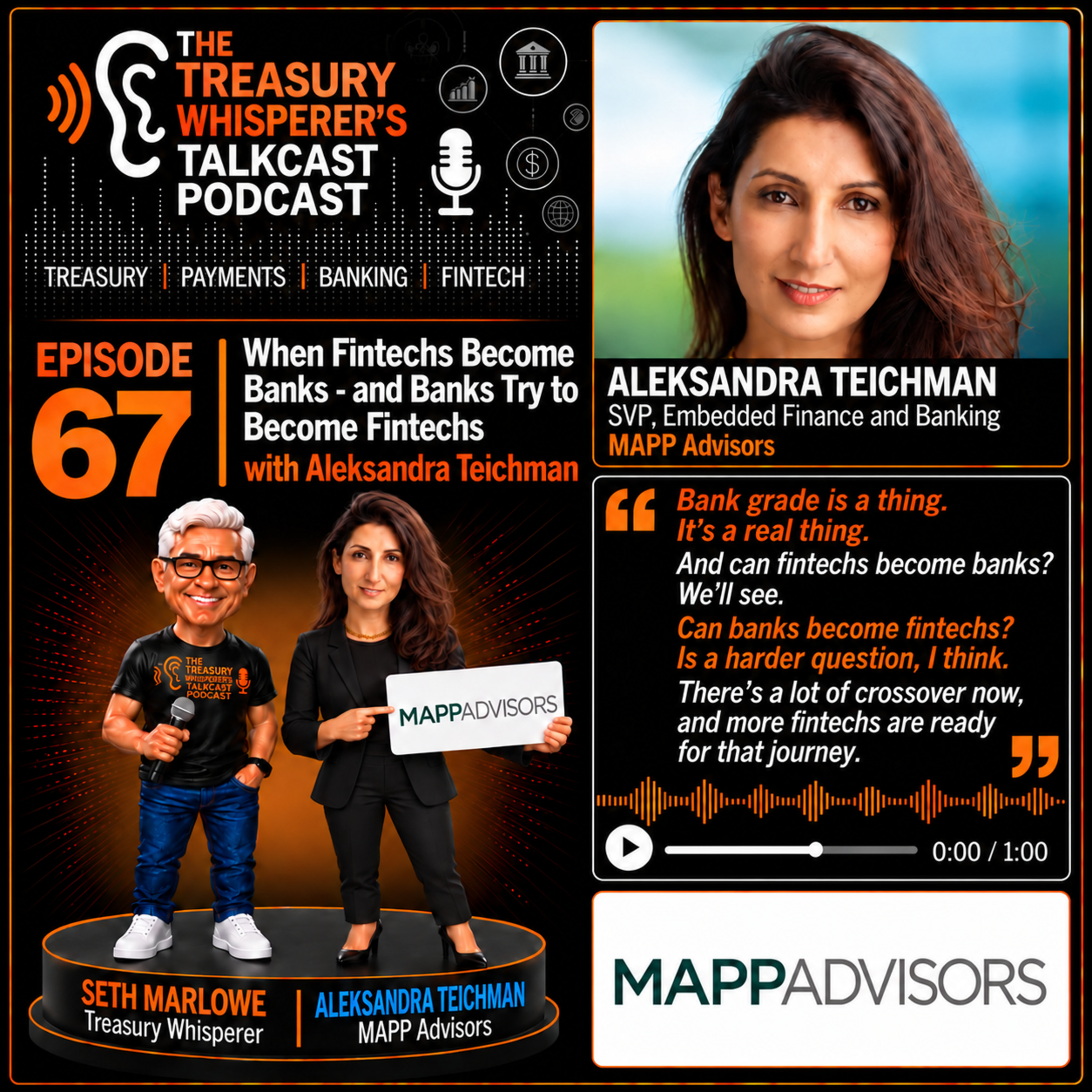 Episode 67 - When Fintechs Become Banks - and Banks Try to Become Fintechs with Aleksandra Teichman (MAPP Advisors)