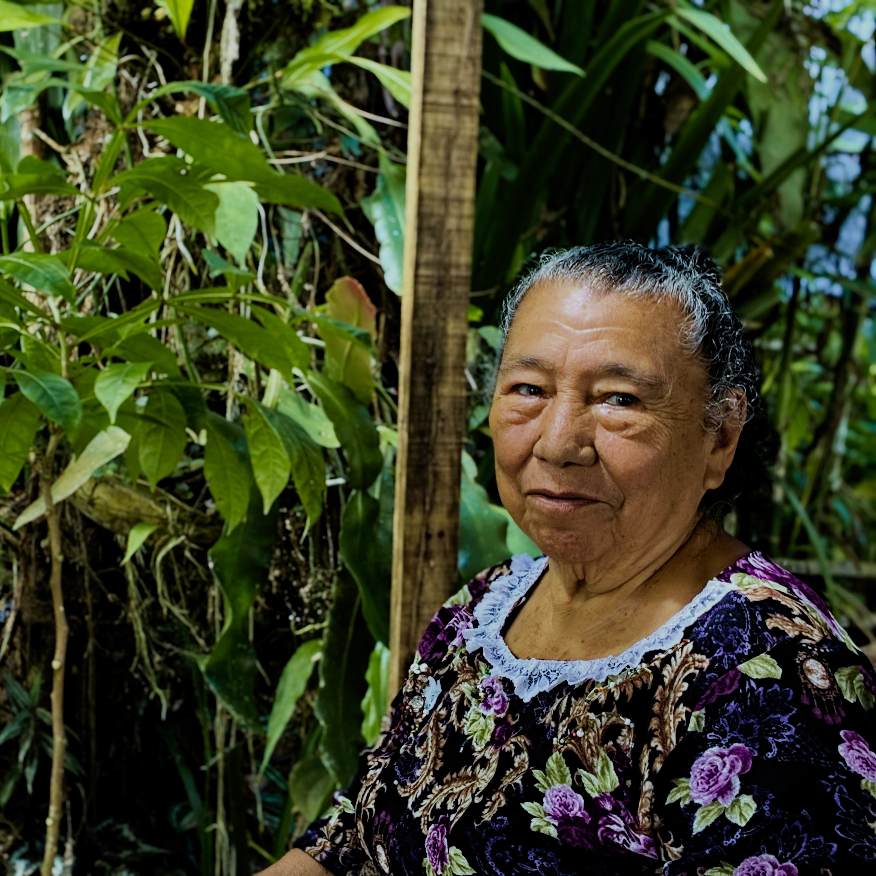 Petronila: la mujer de los árboles.