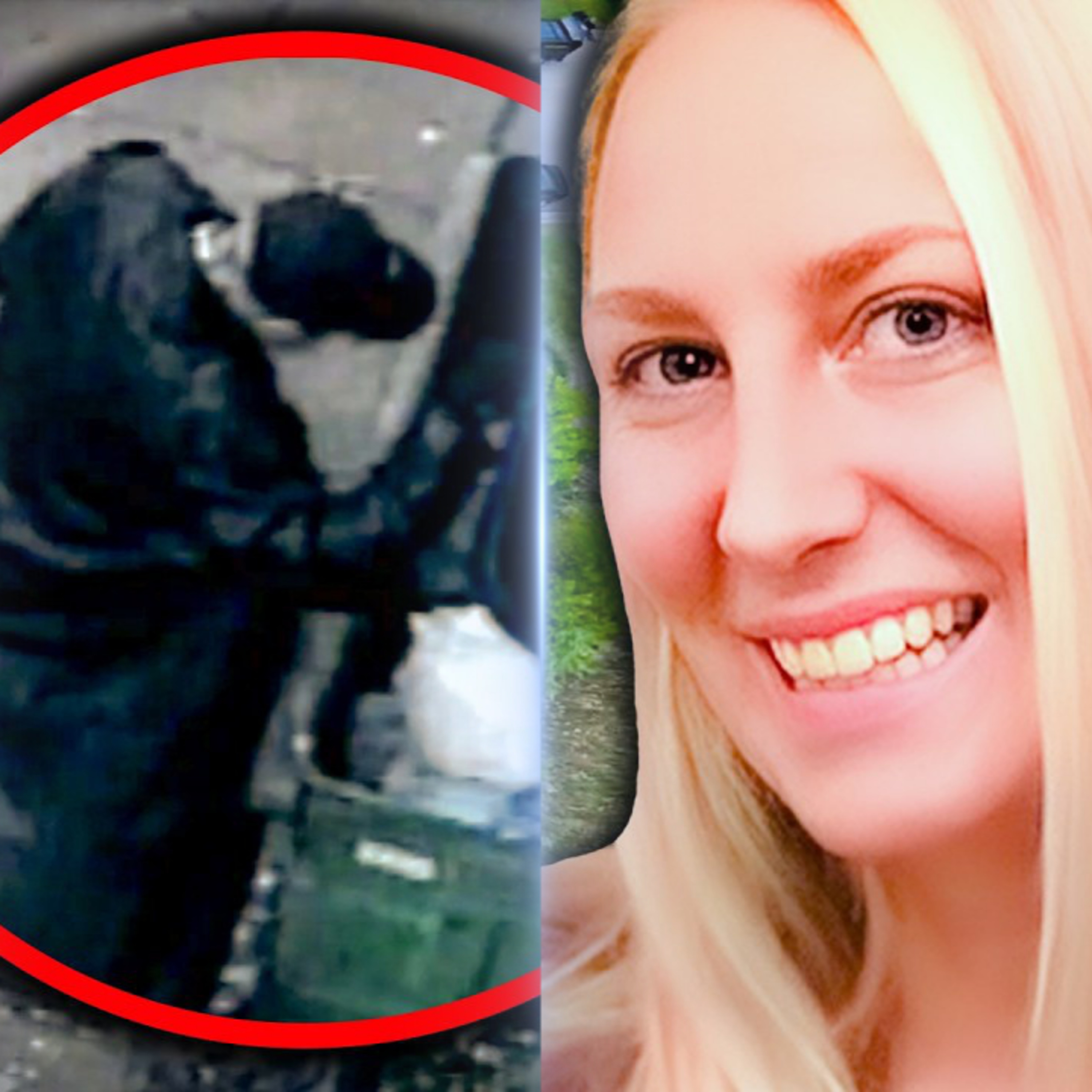 D'adolescent à TUEUR EN SÉRIE, ces MONSTRES ont commis L'HORREUR ABSOLUE ! — Affaires criminelles avec Cogiteur Stories