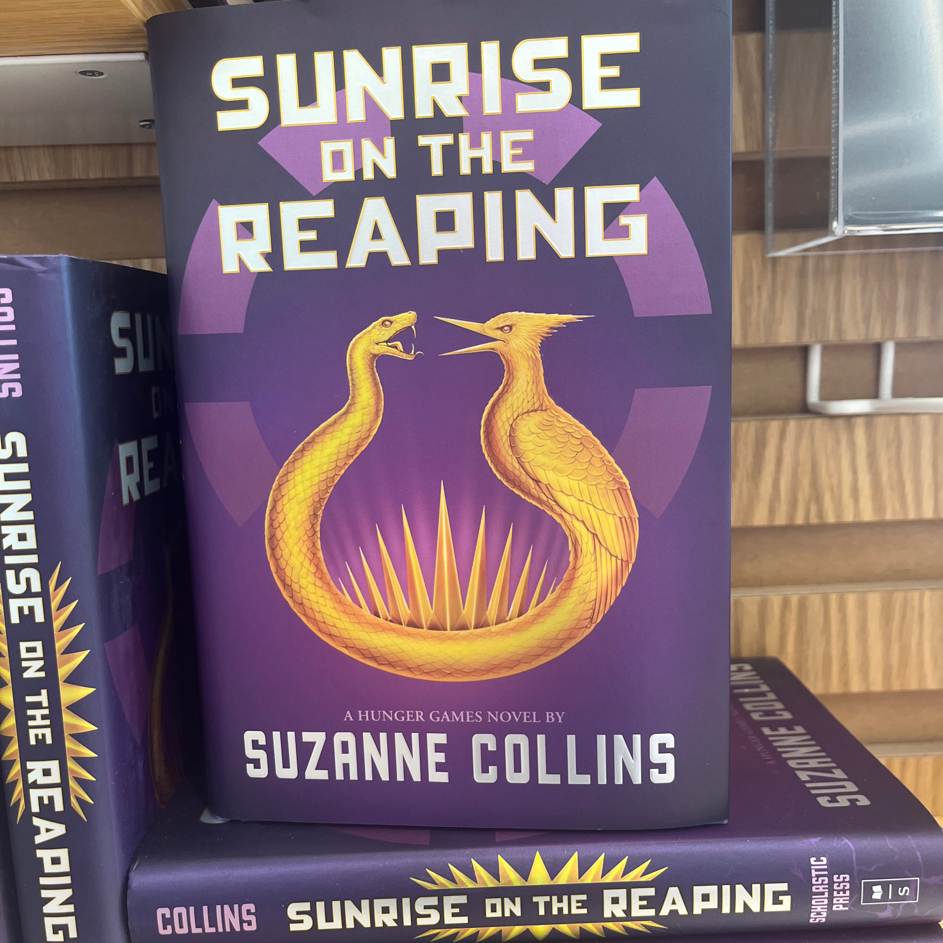 Sunrise on the Reaping Review episode artwork