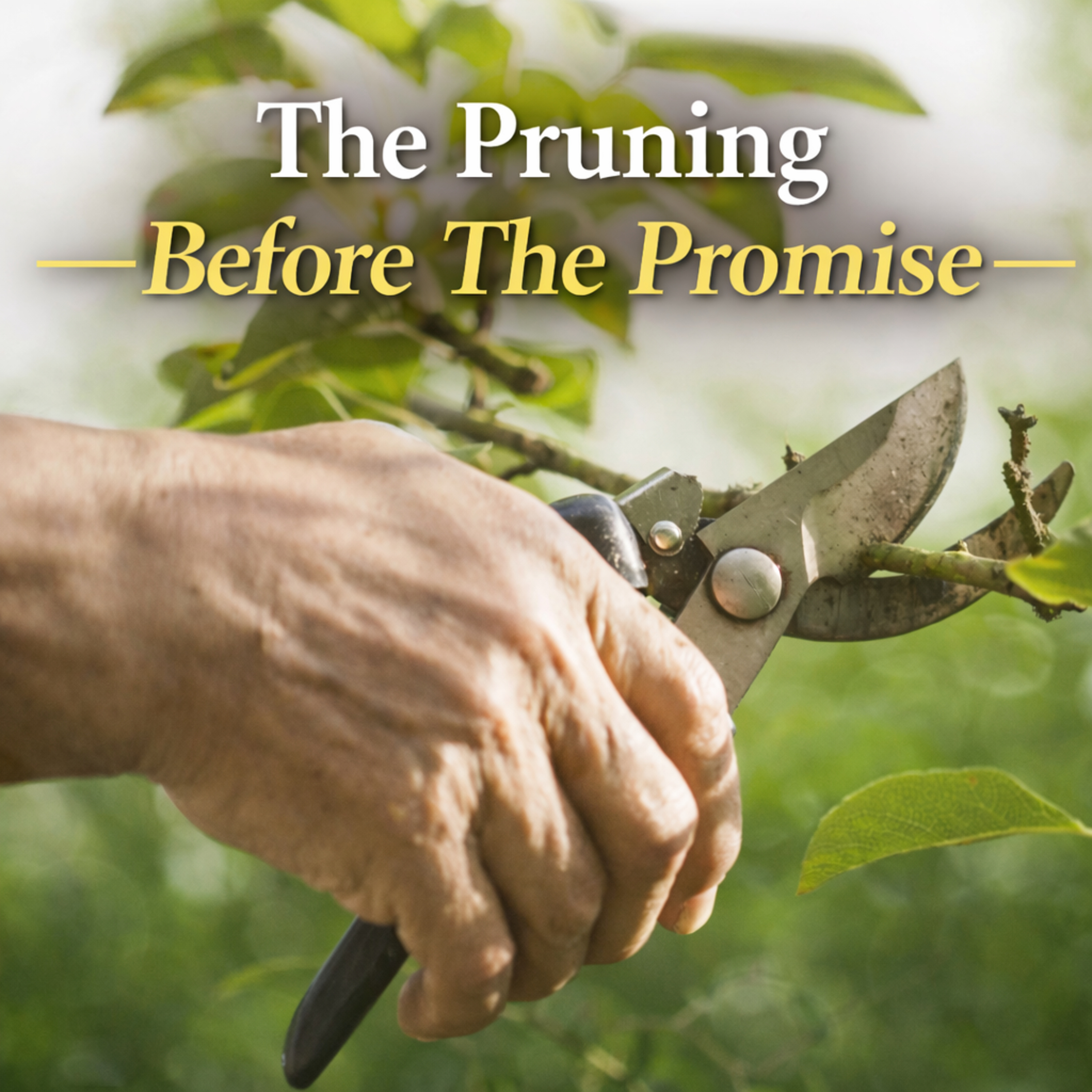 QuickWord w/ Chaplain Nolan White