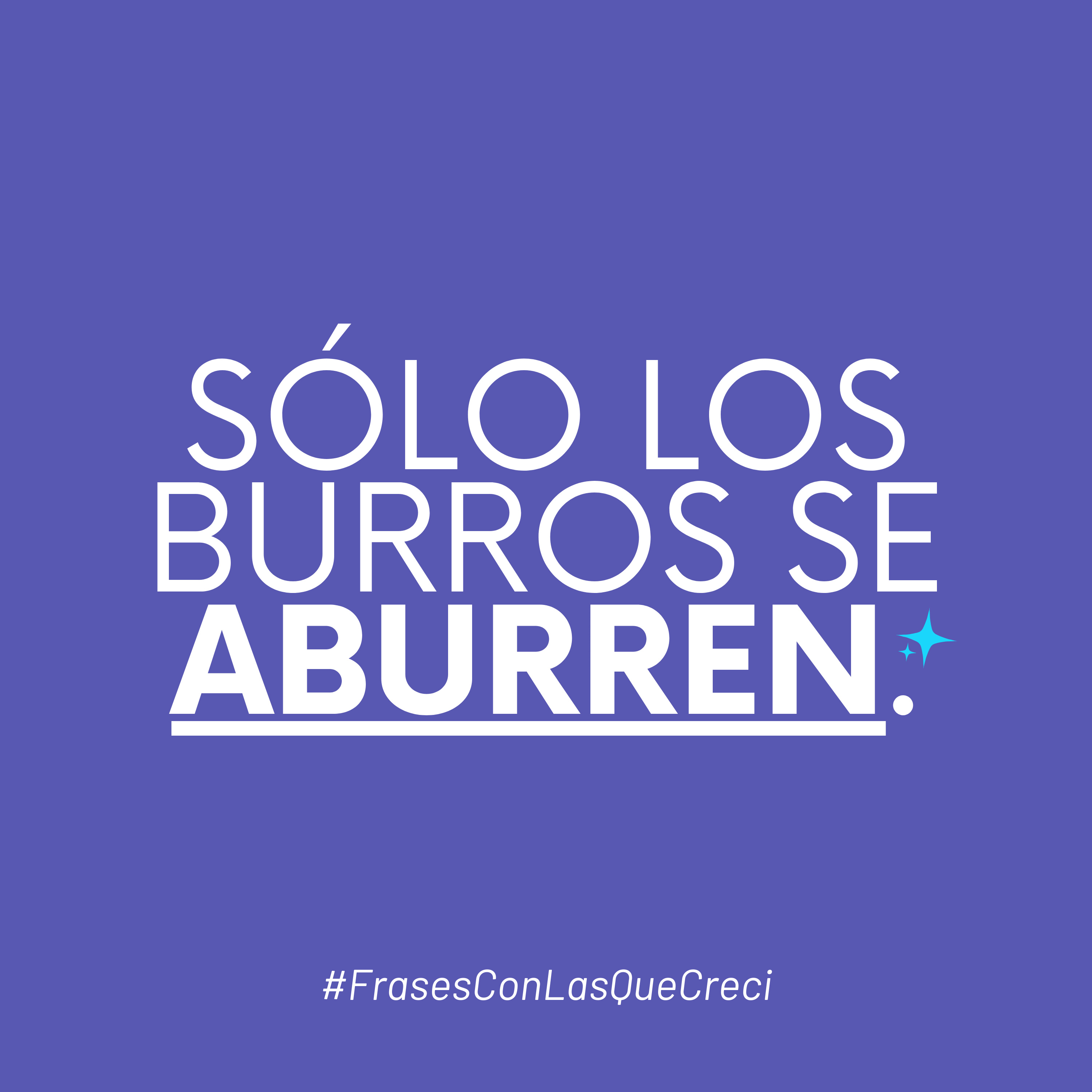 Episodio 12 | Sólo los burros se aburren episode artwork