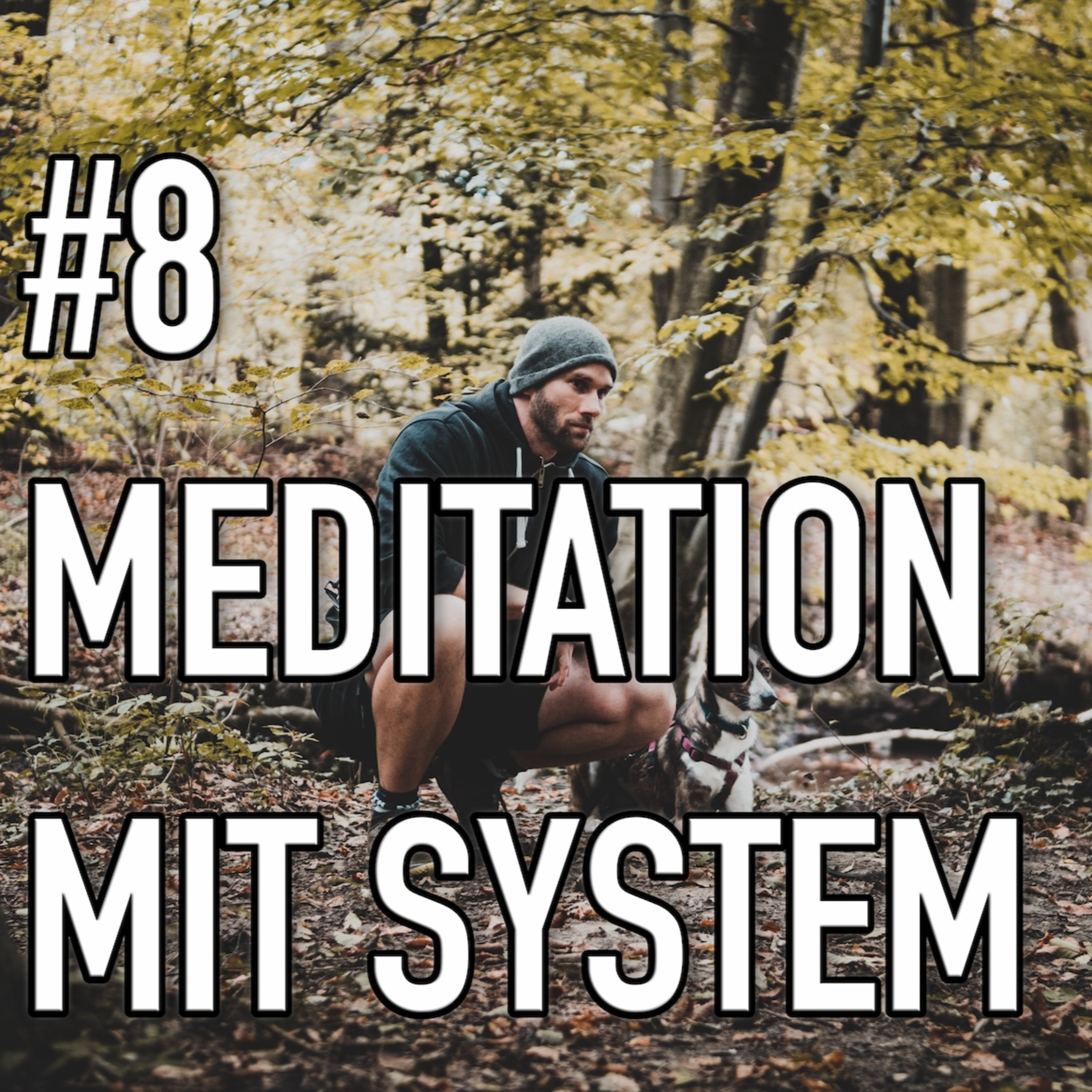 #8 Meditation mit System und ohne Quark | Lebenswandelwissen episode artwork