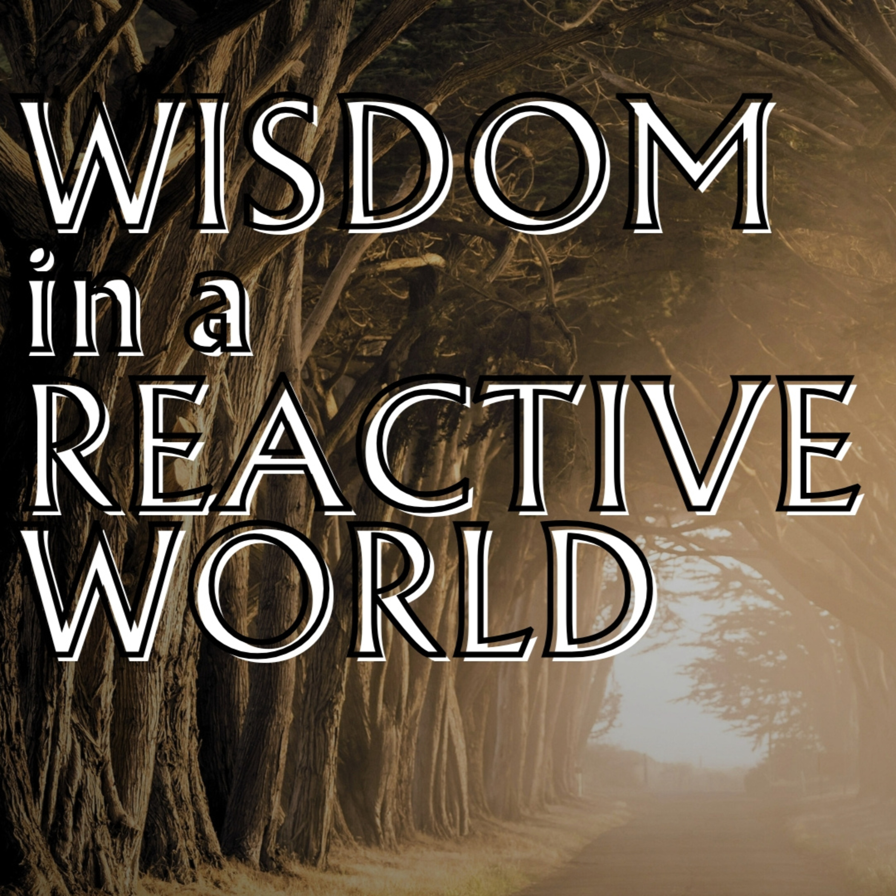 Wisdom In A Reactive World 3.8.26 episode artwork