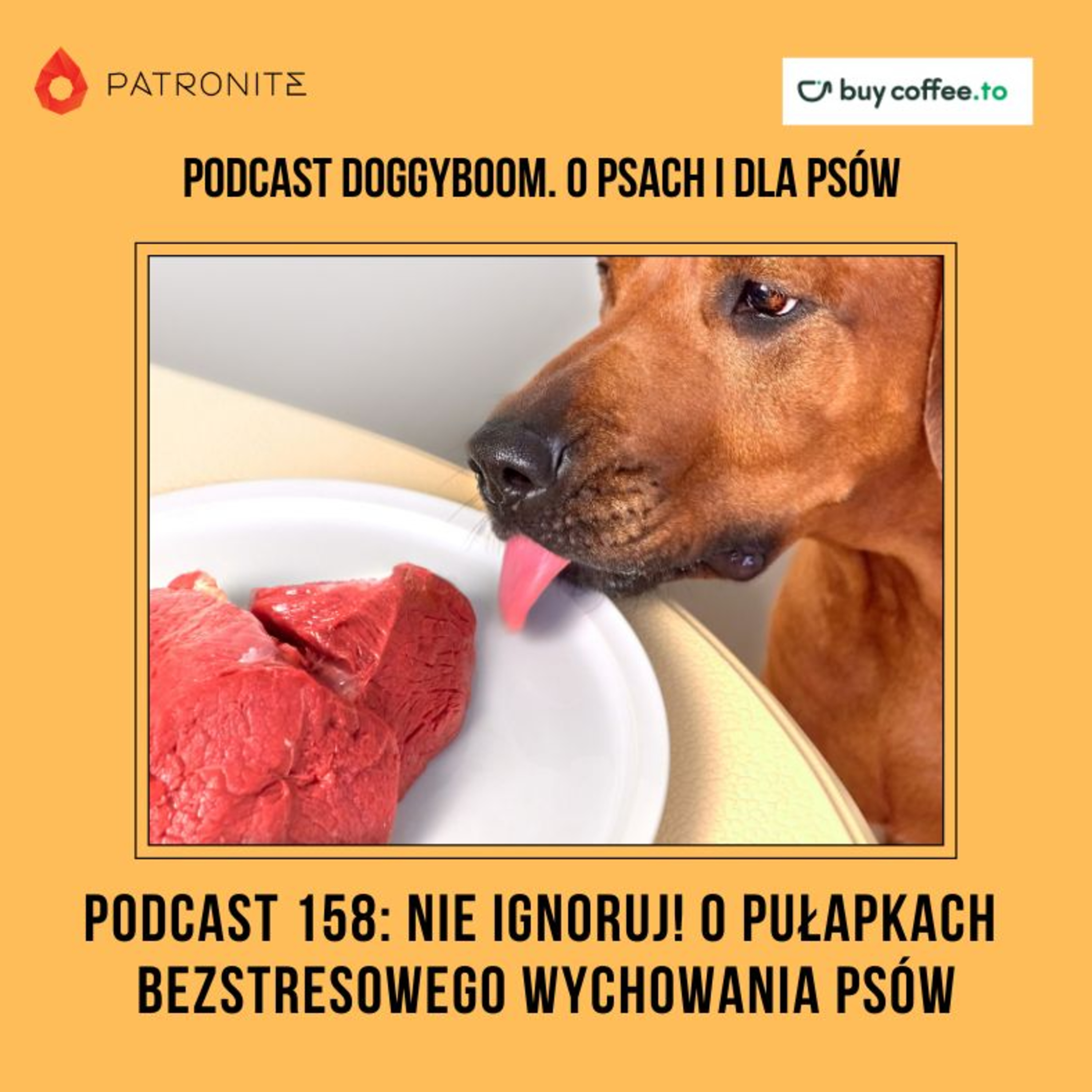 Podcast 158: Nie ignoruj! O pułapkach bezstresowego wychowania psów