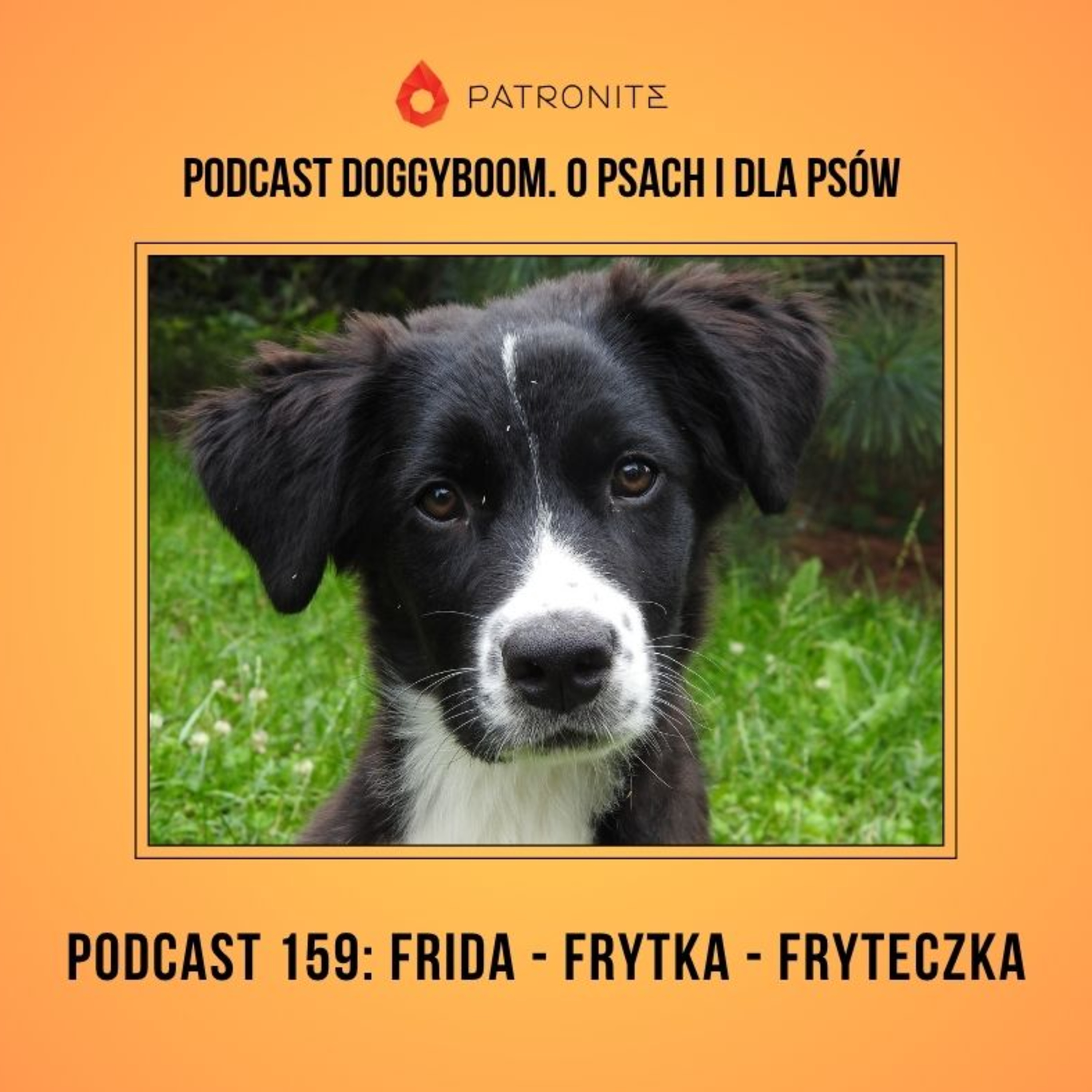Podcast 159: Frida Frytka Fryteczka