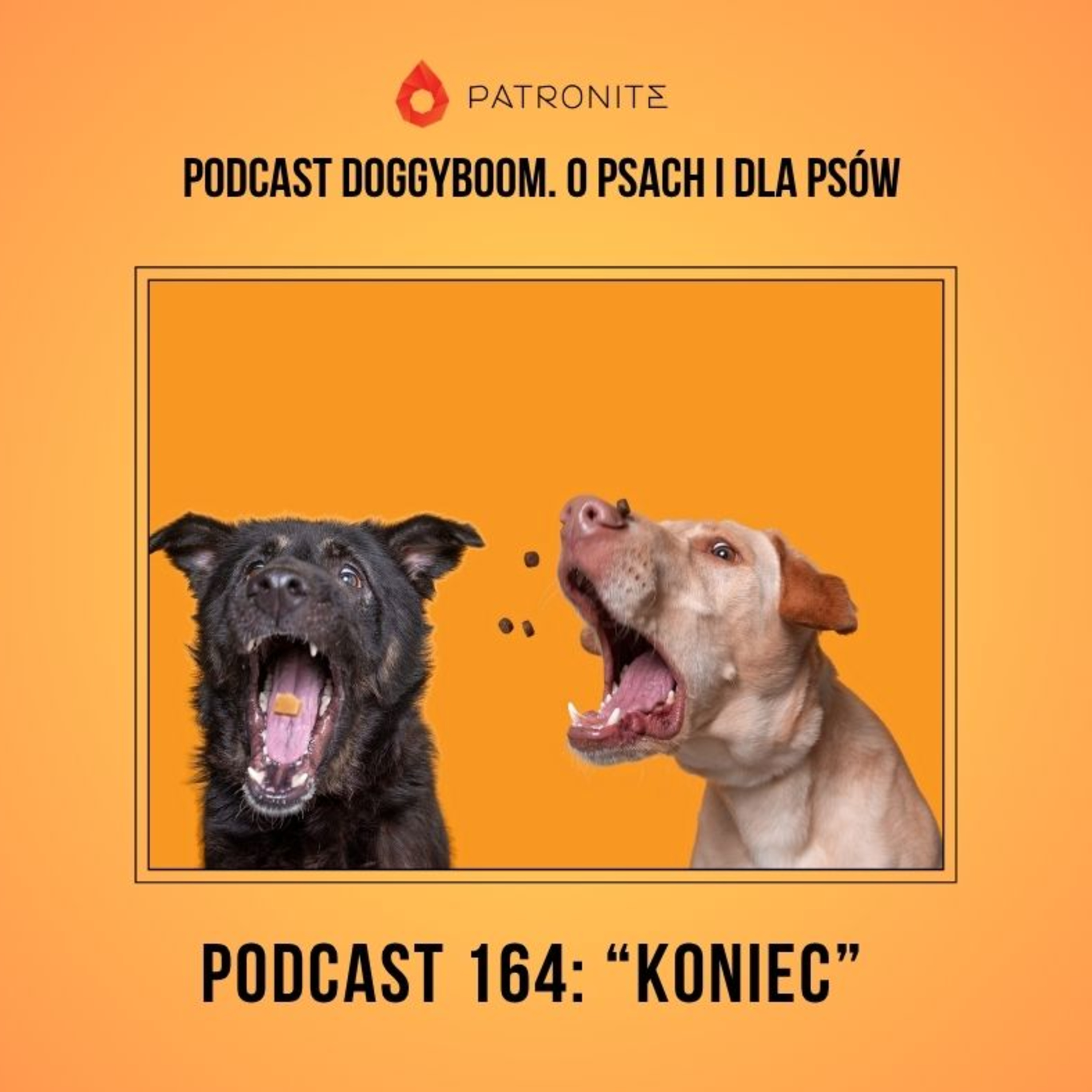 Podcast 164: Koniec