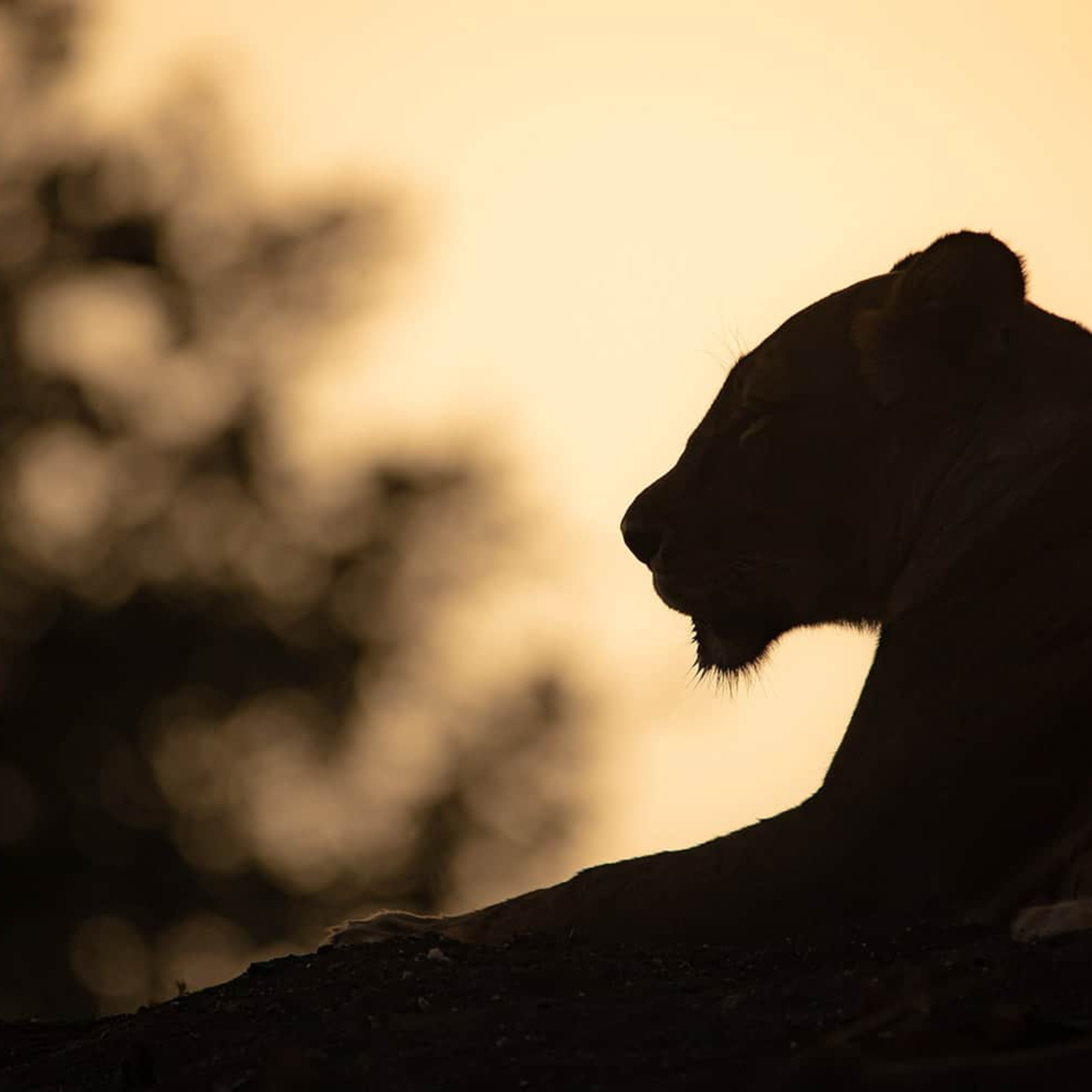 HerzPunkt. Der Dalmanuta Podcast