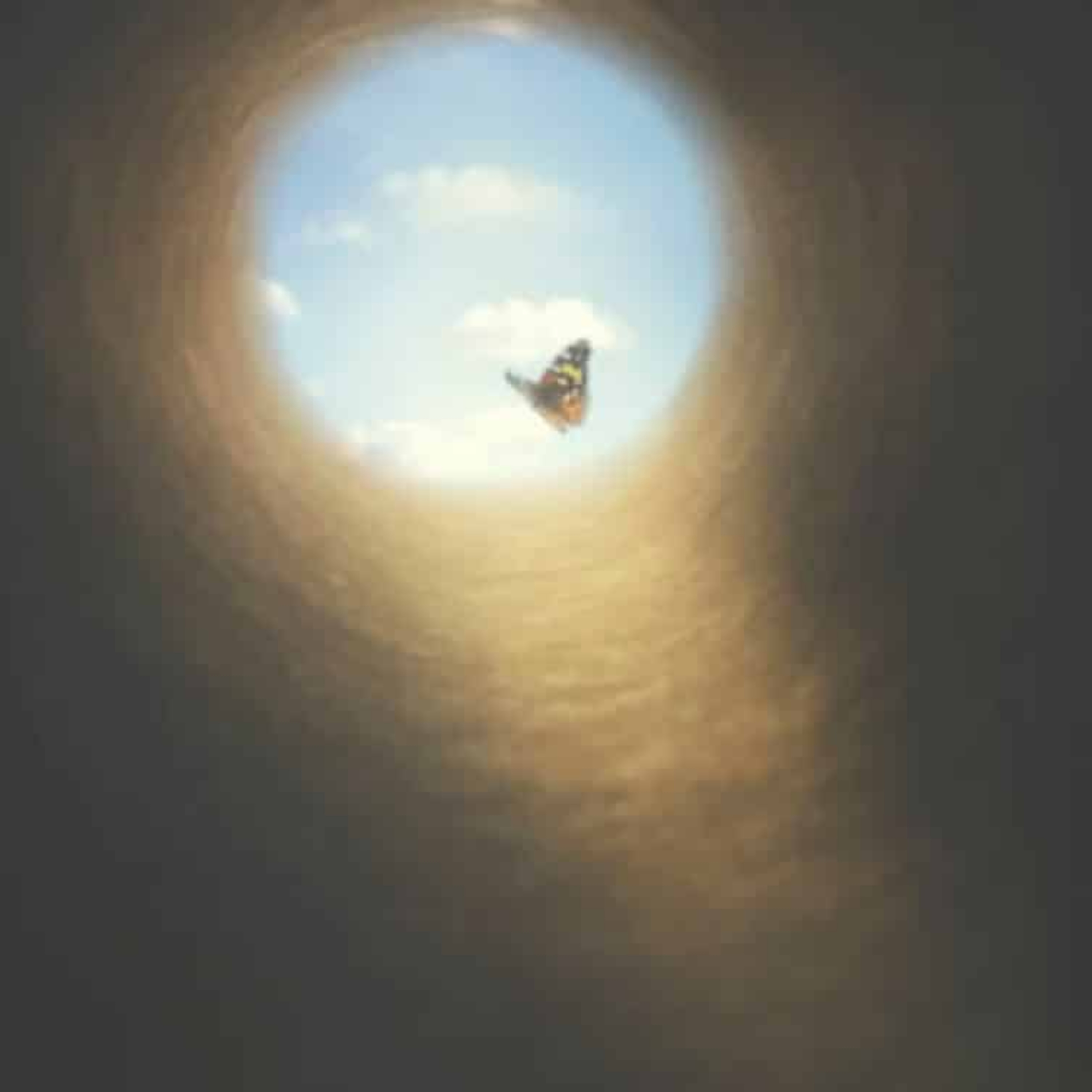 HerzPunkt. Der Dalmanuta Podcast