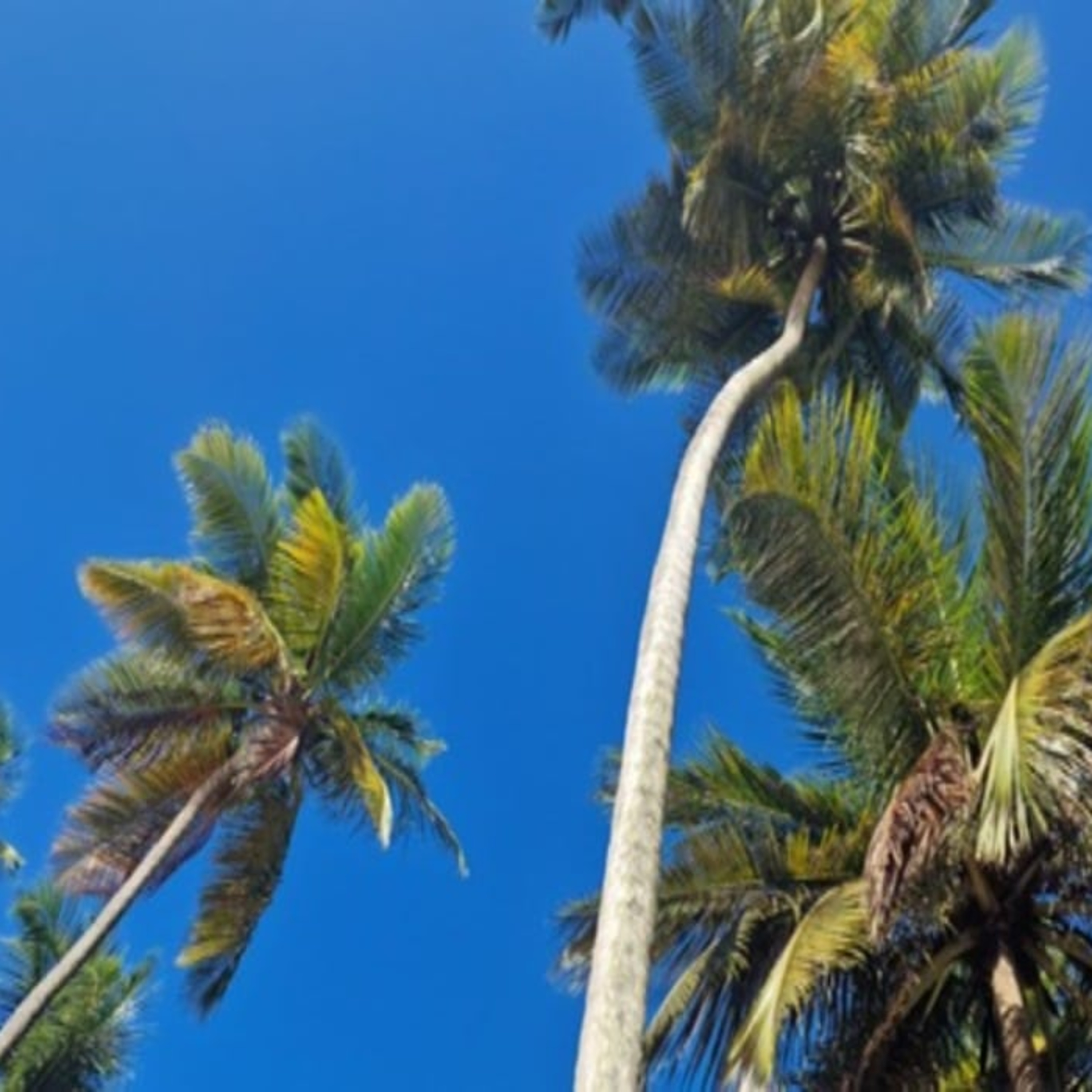 HerzPunkt. Der Dalmanuta Podcast