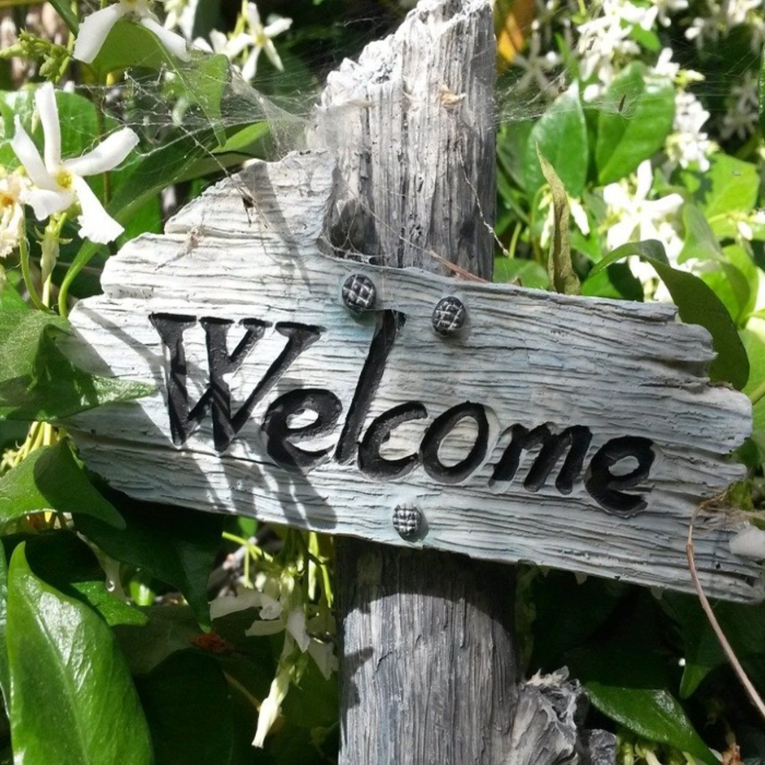 HerzPunkt. Der Dalmanuta Podcast