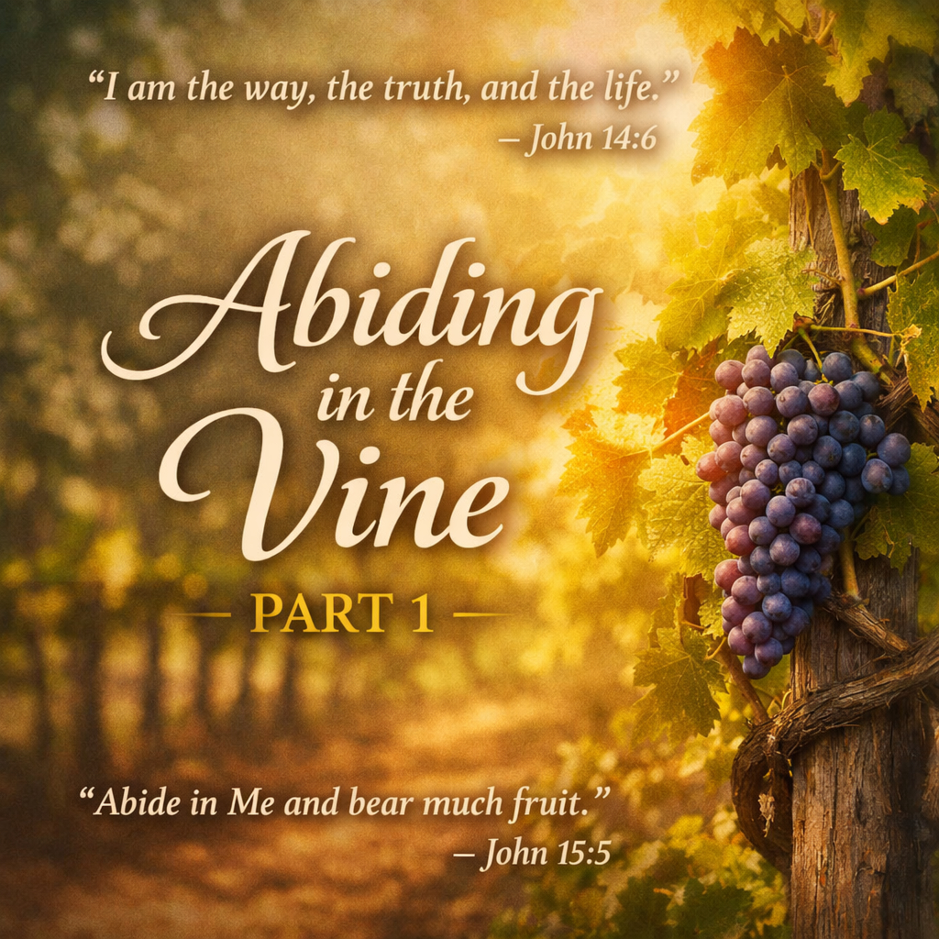 Abiding in the Vine Part 1 episode artwork