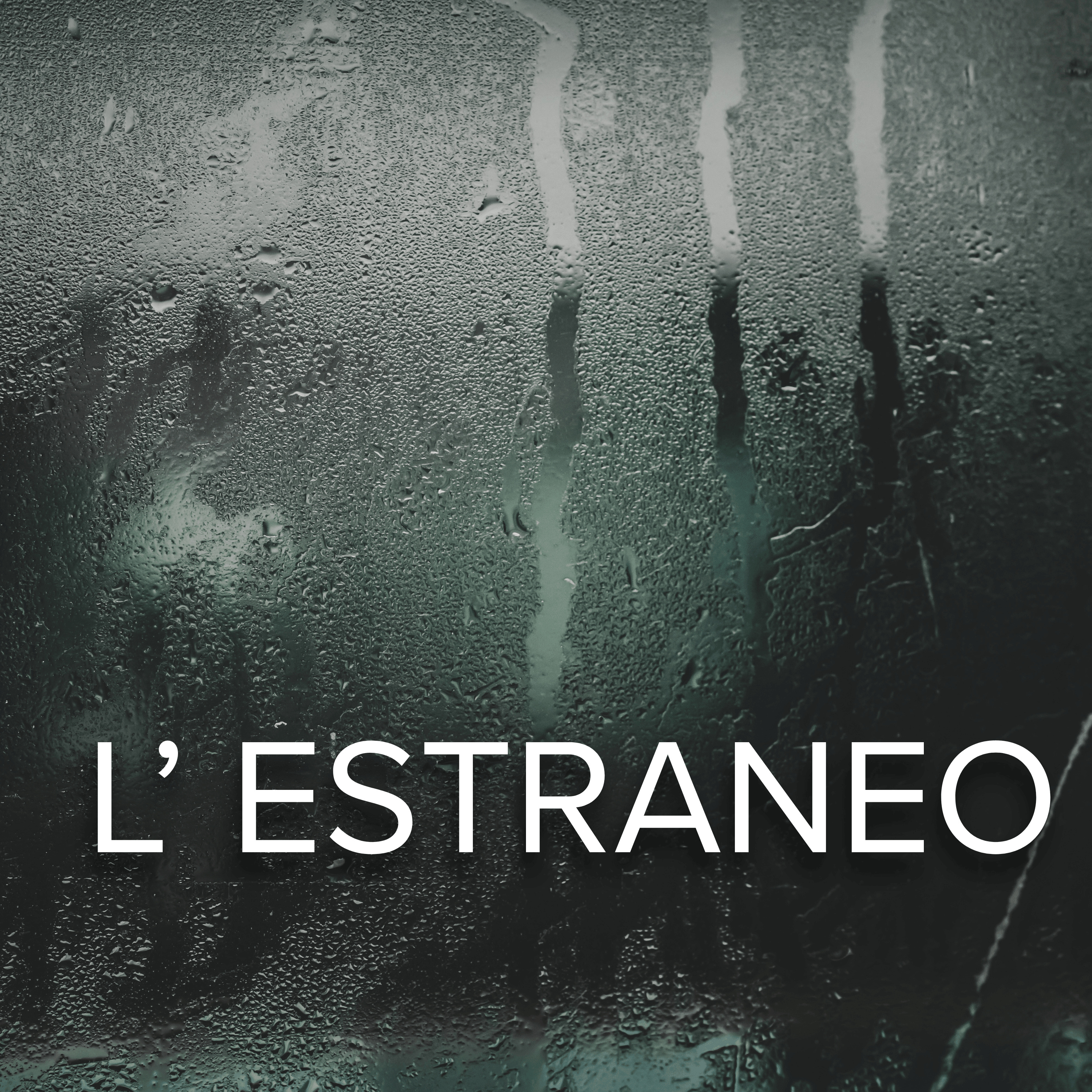 L'estraneo - Episodio 1  episode artwork