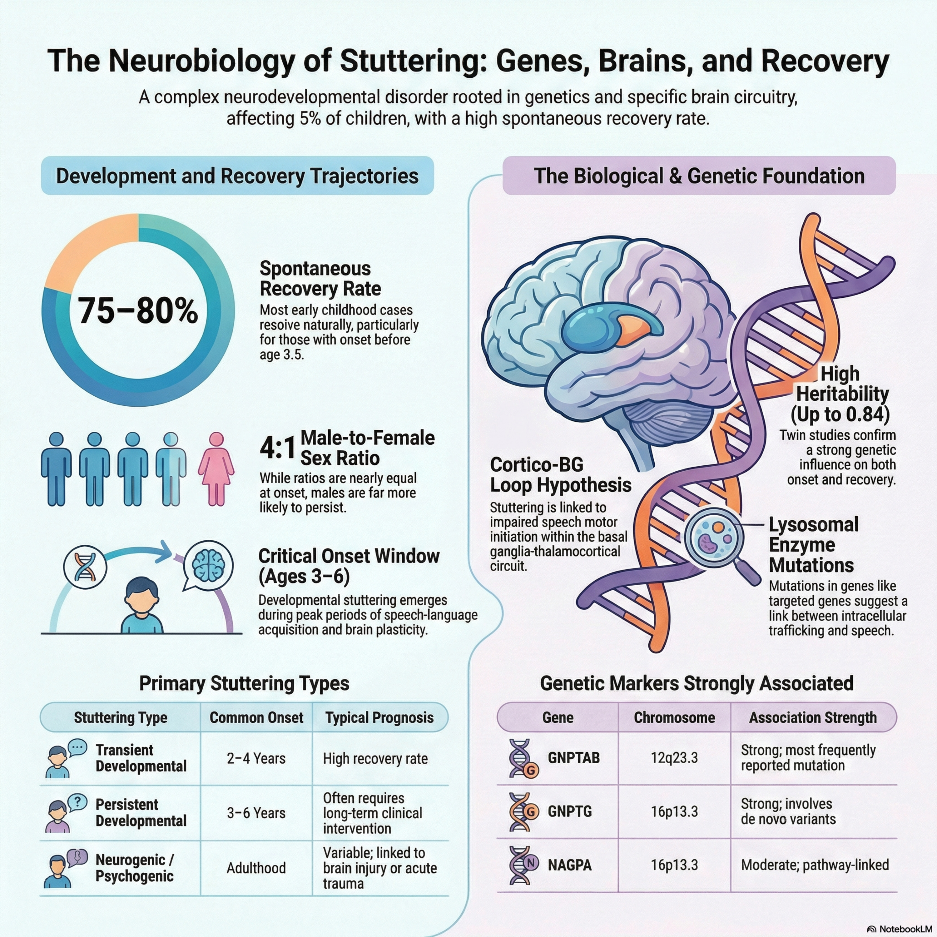 Why Words Get Stuck: The Neurobiology of Stuttering 🔬🧠 episode artwork