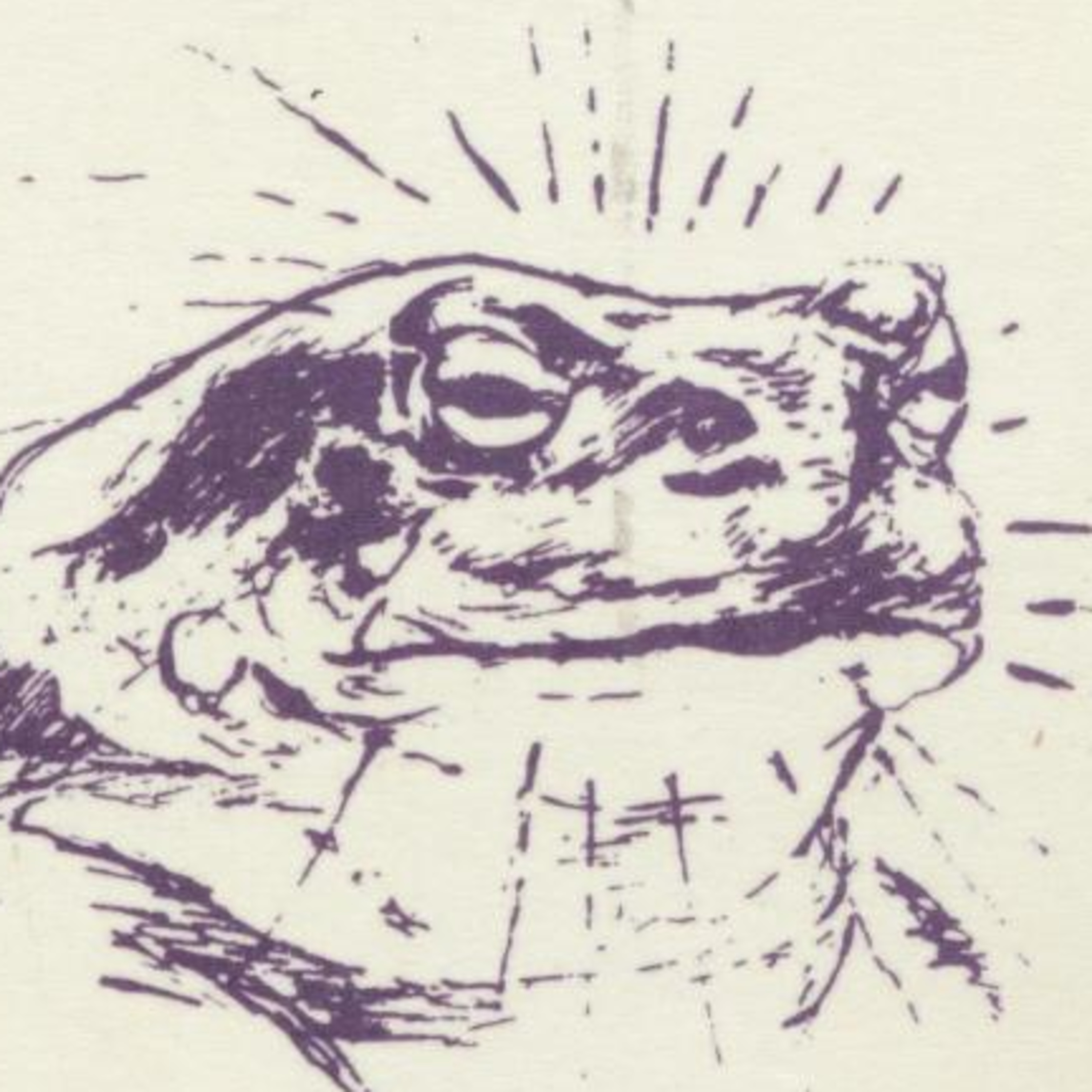 Episode 5: People Smoke Toad Venom? episode artwork