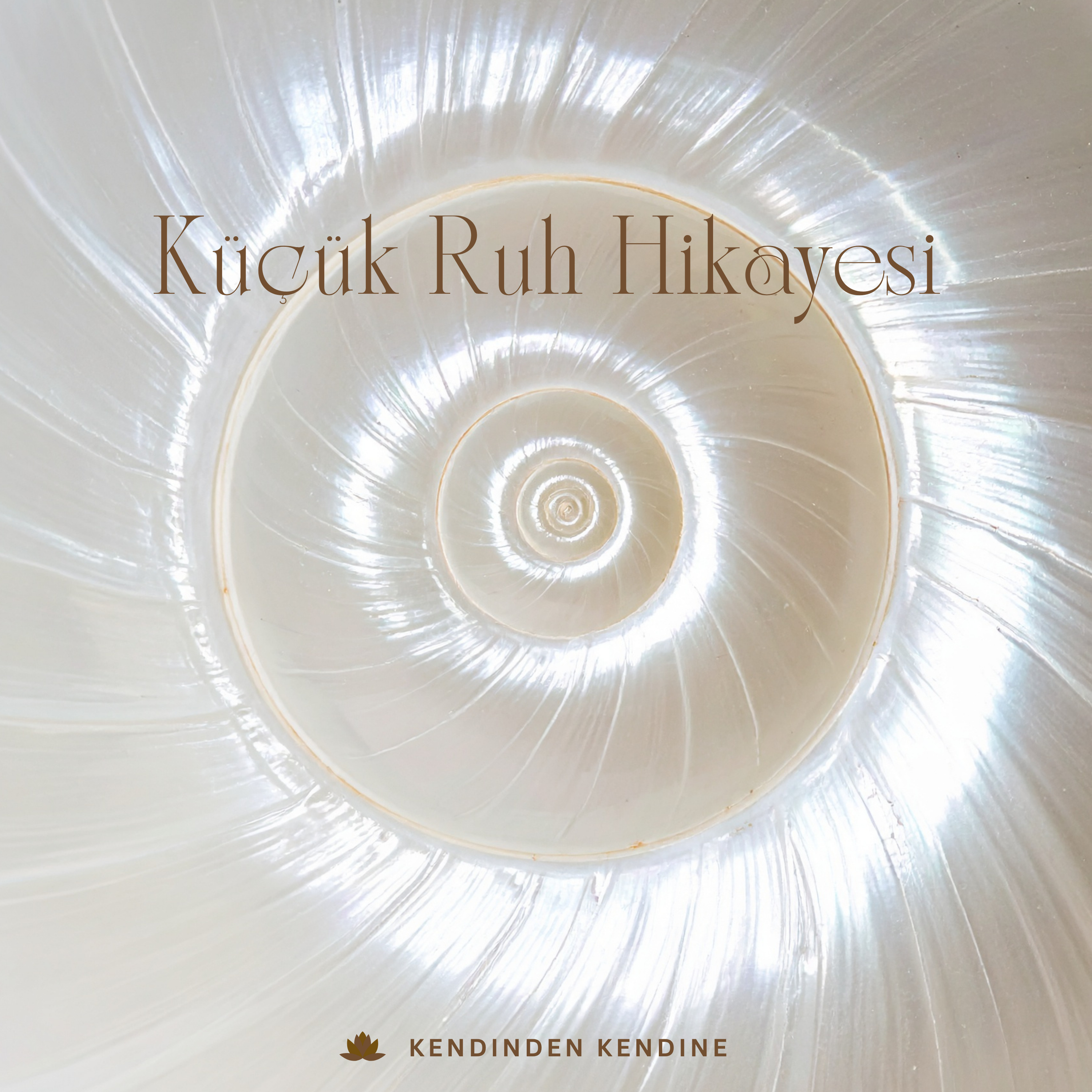 19 - Küçük Ruh Hikayesi episode artwork