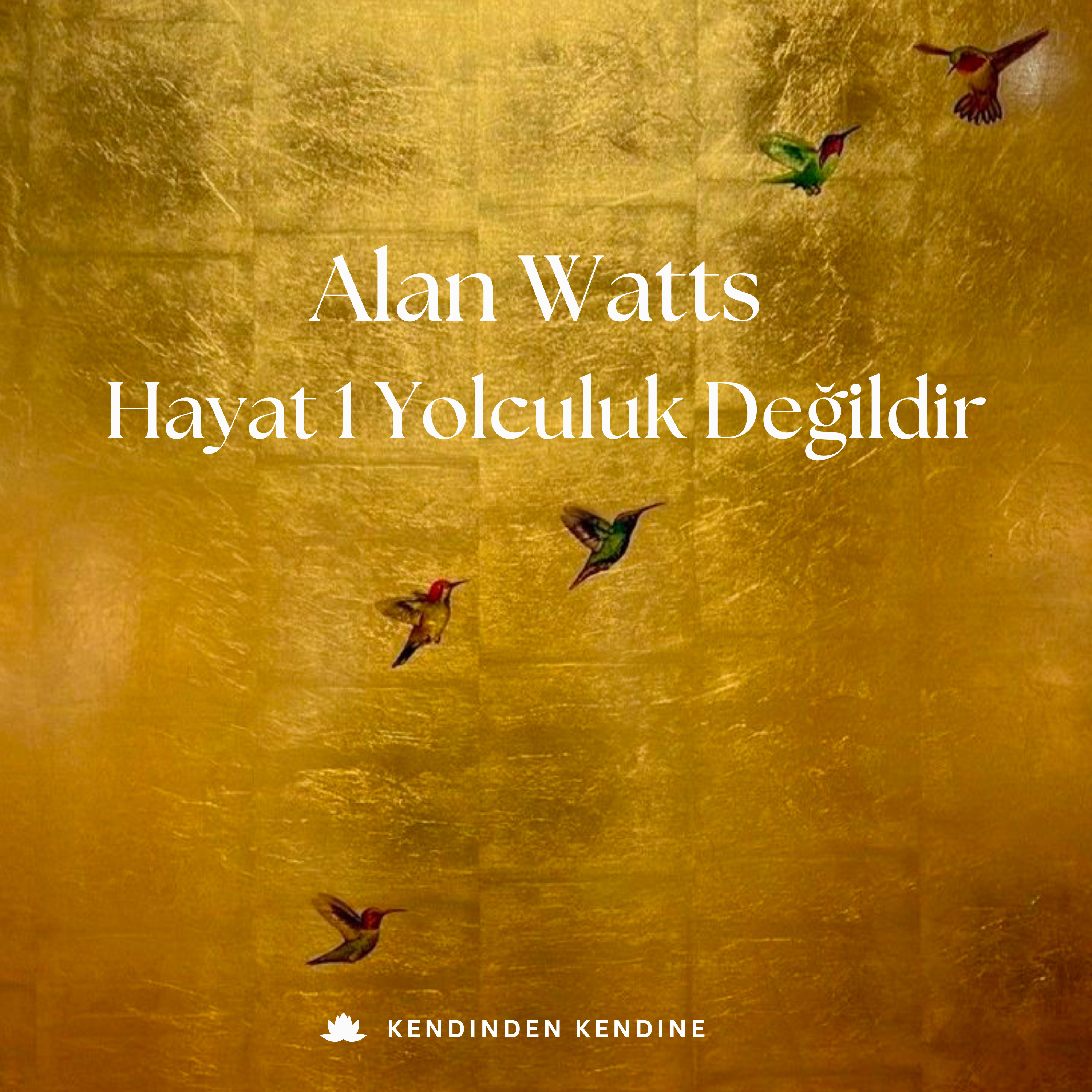 20 - Hayat Bir Yolculuk Değildir by Alan Watts episode artwork