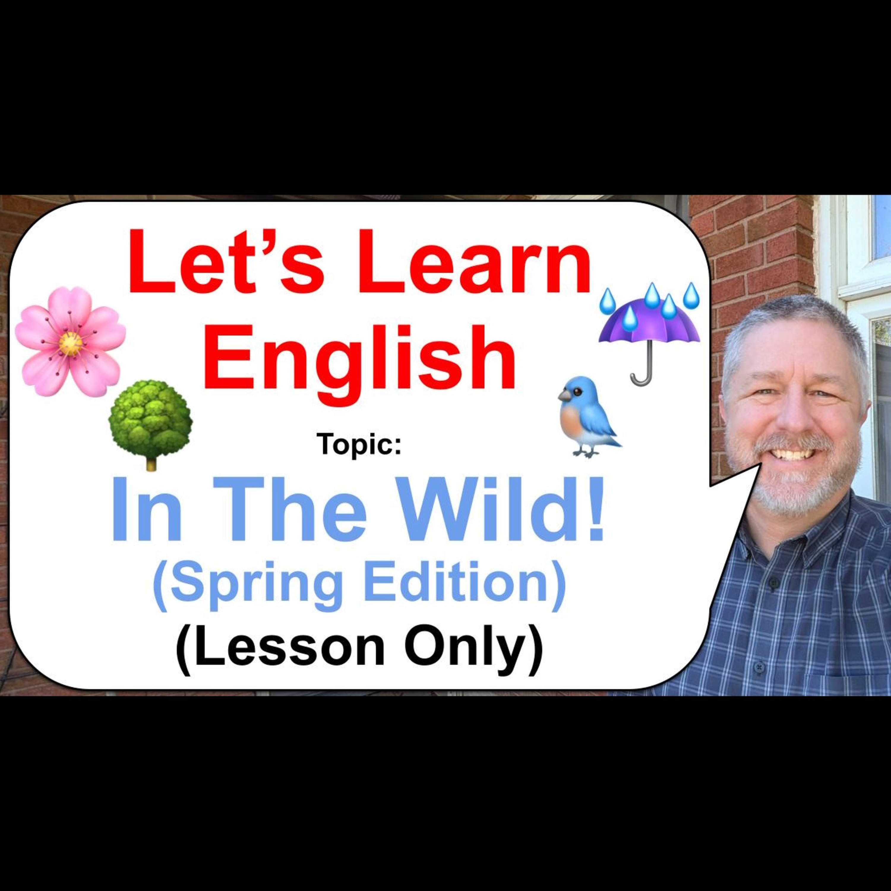 Let's Learn English! Topic: Found in the Wild! ☔🌸🐦