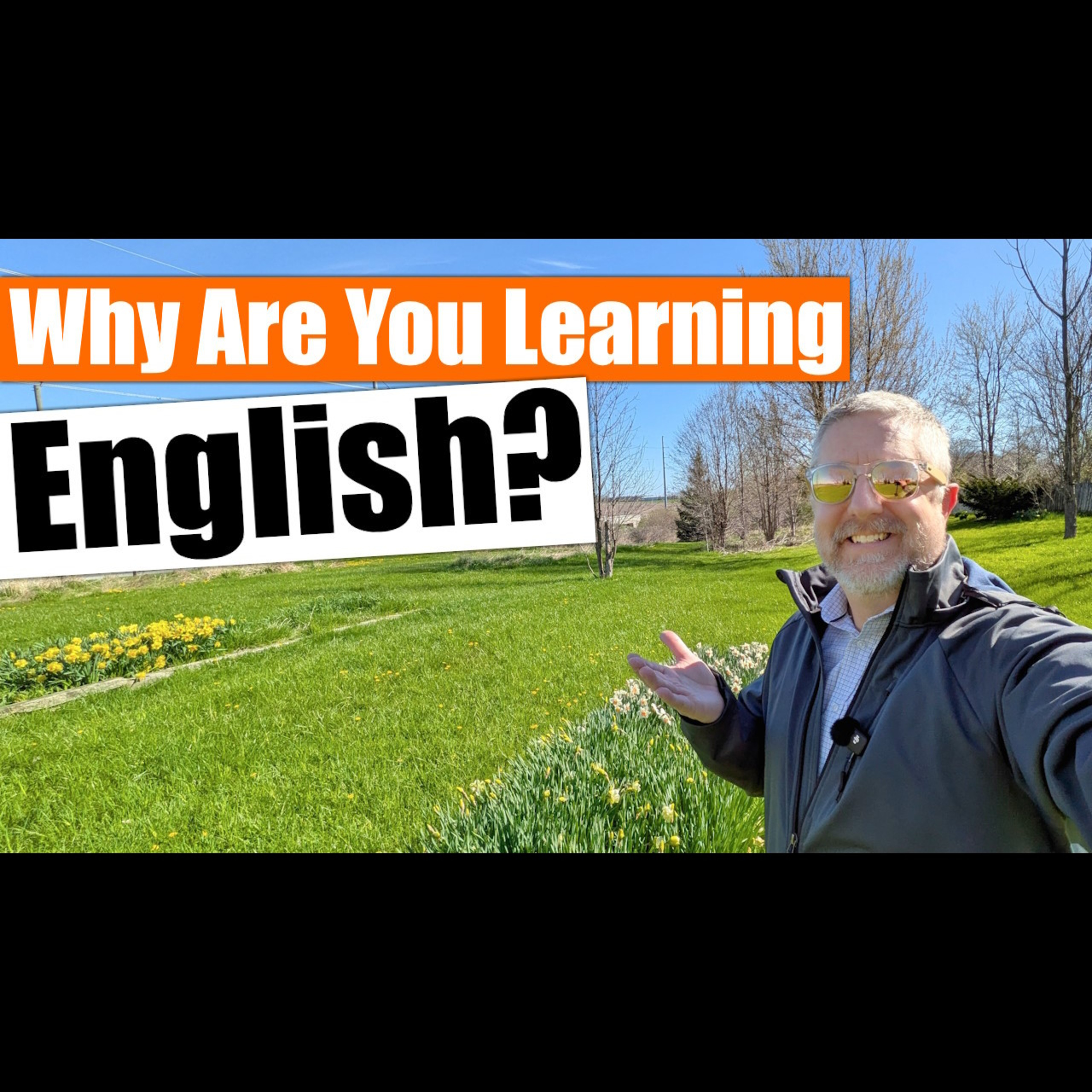 Why Are You Learning English? 🤔