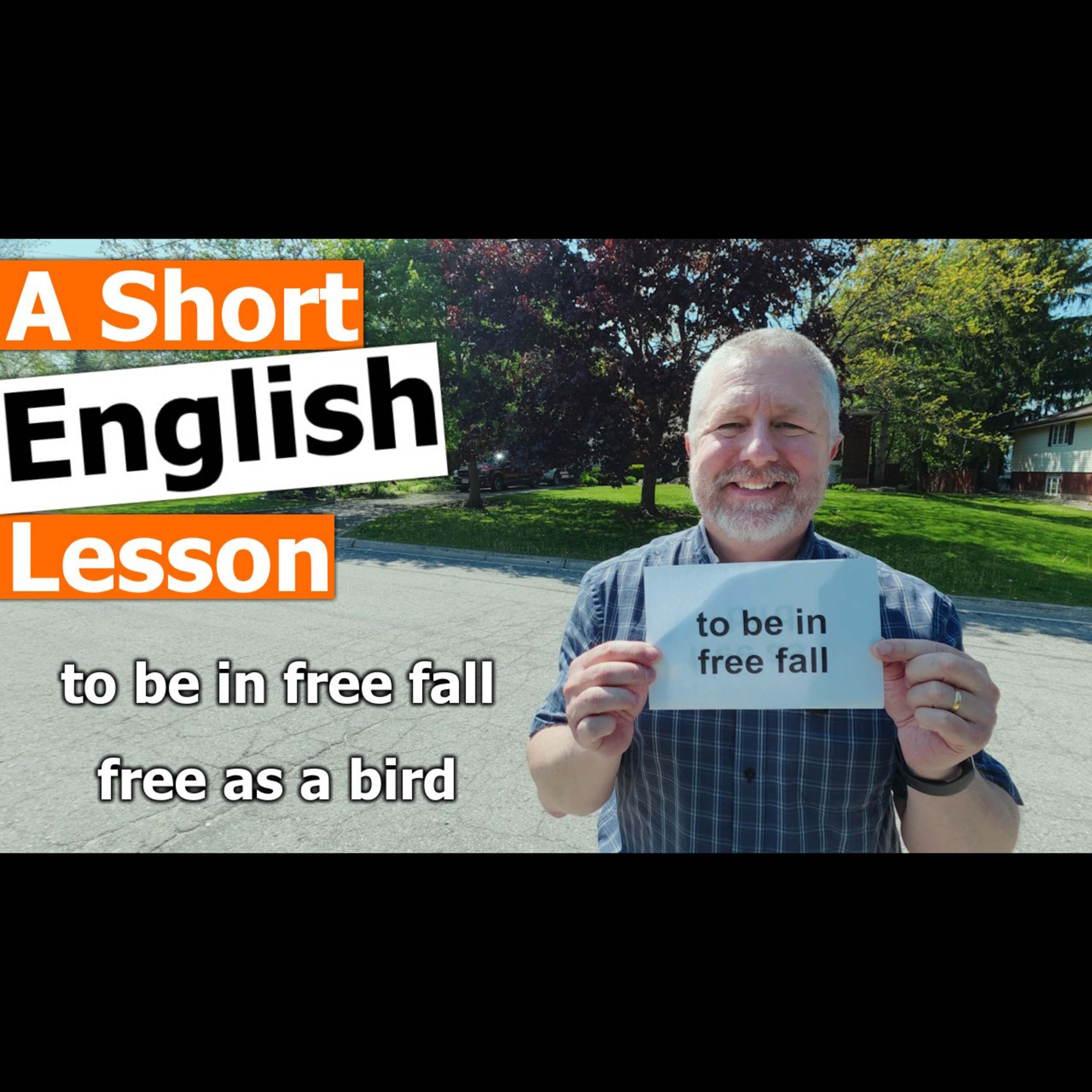 Learn the English Phrases "to be in free fall" and "free as a bird"