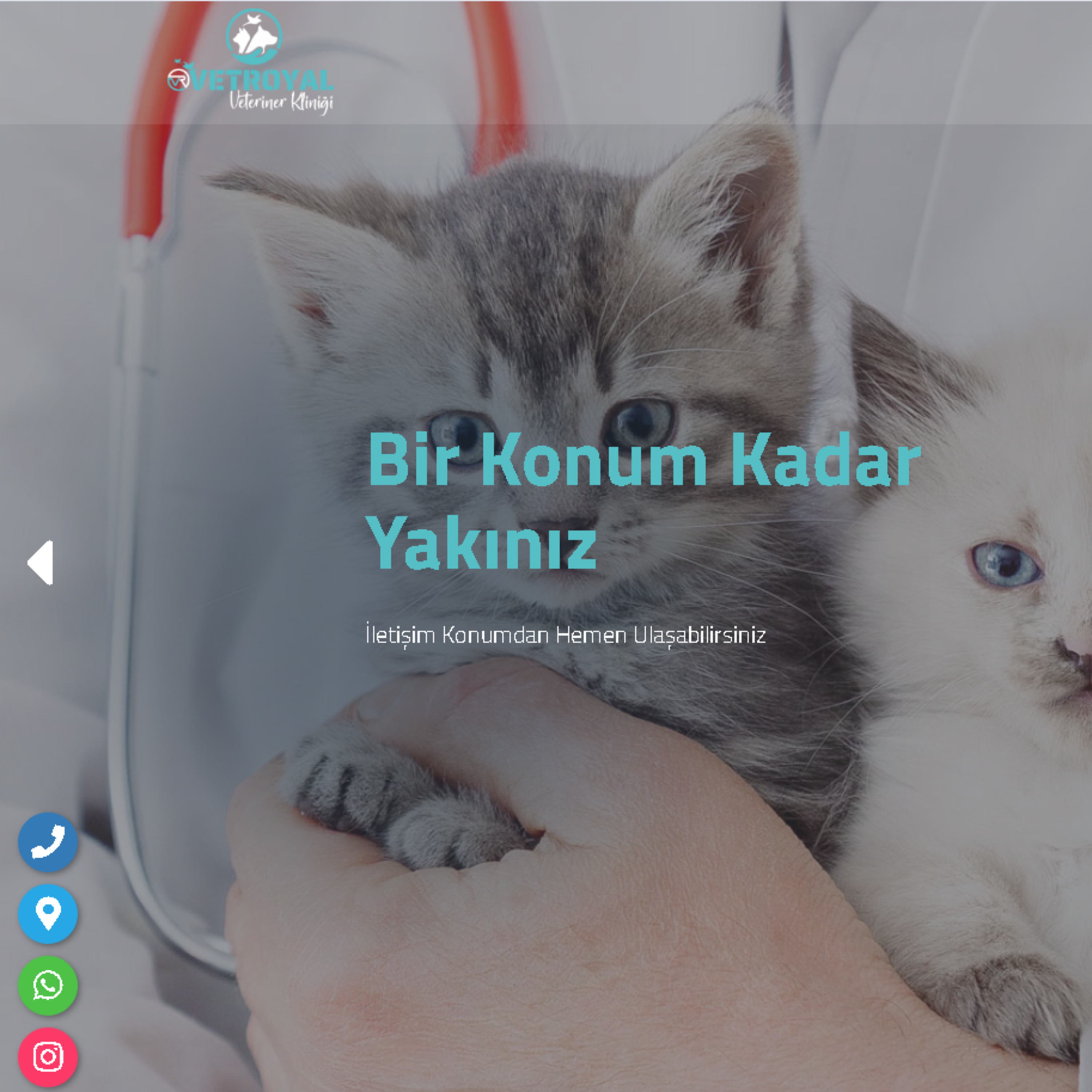 Serdivan Açık Veteriner - Veterinerserdivan episode artwork