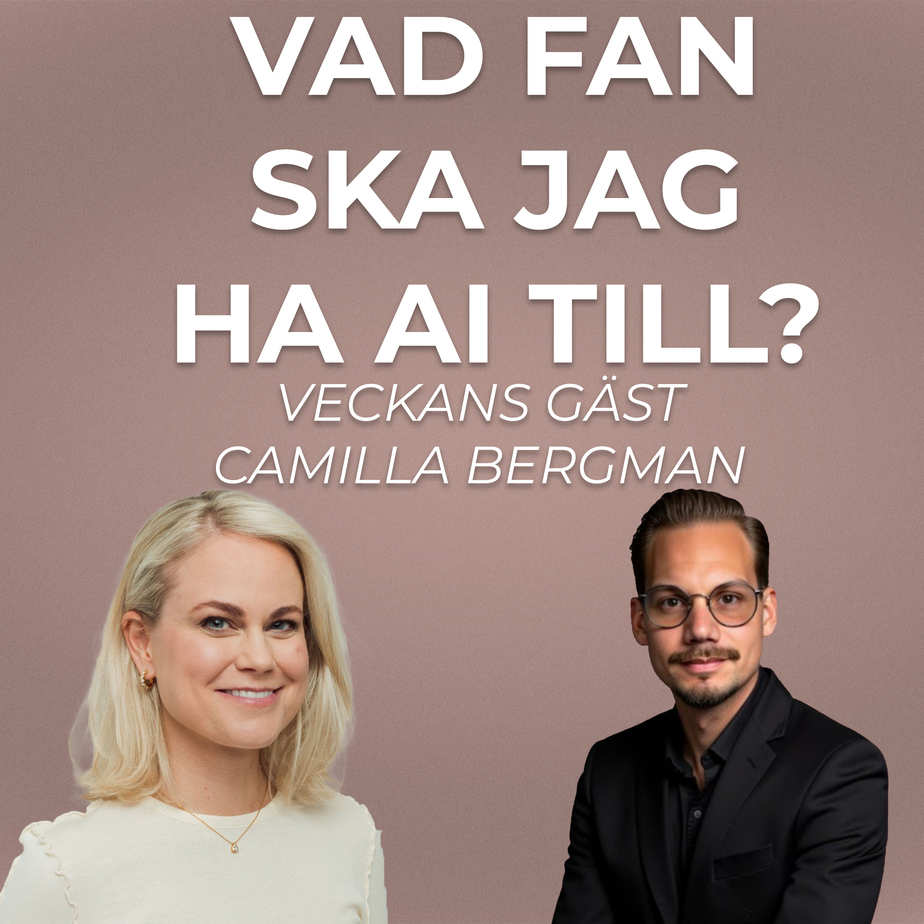 Vad fan ska jag ha AI till?