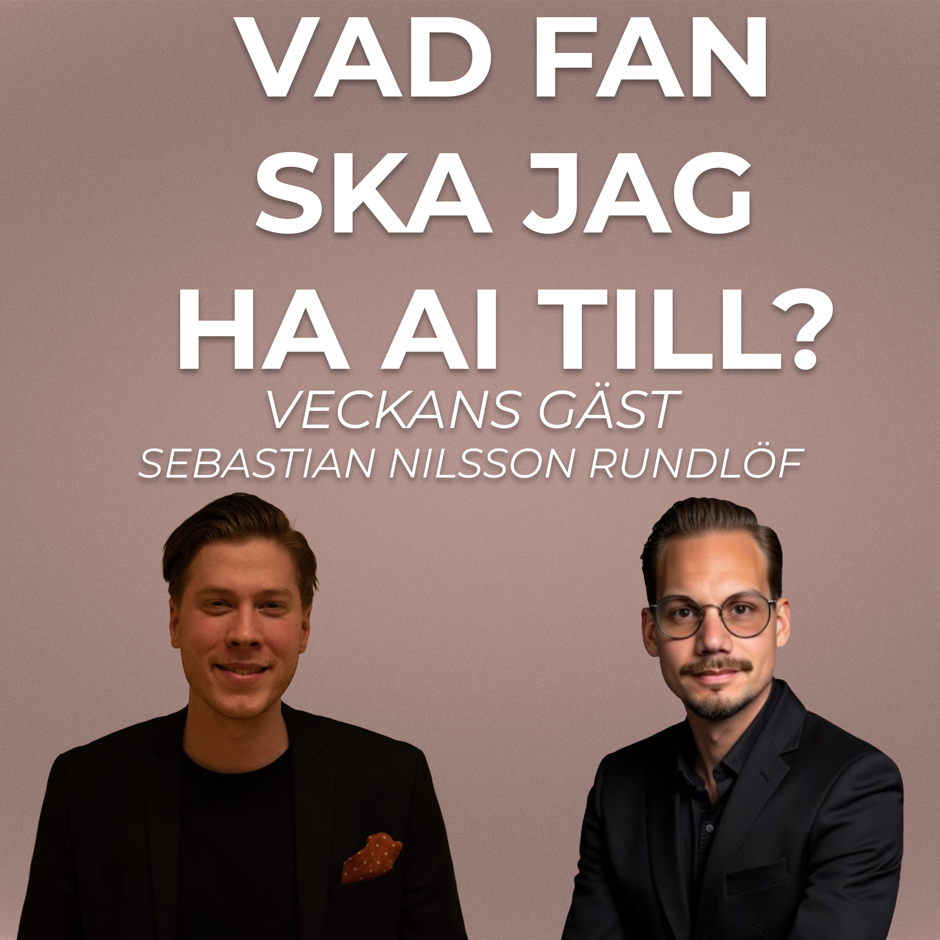 Vad fan ska jag ha AI till?