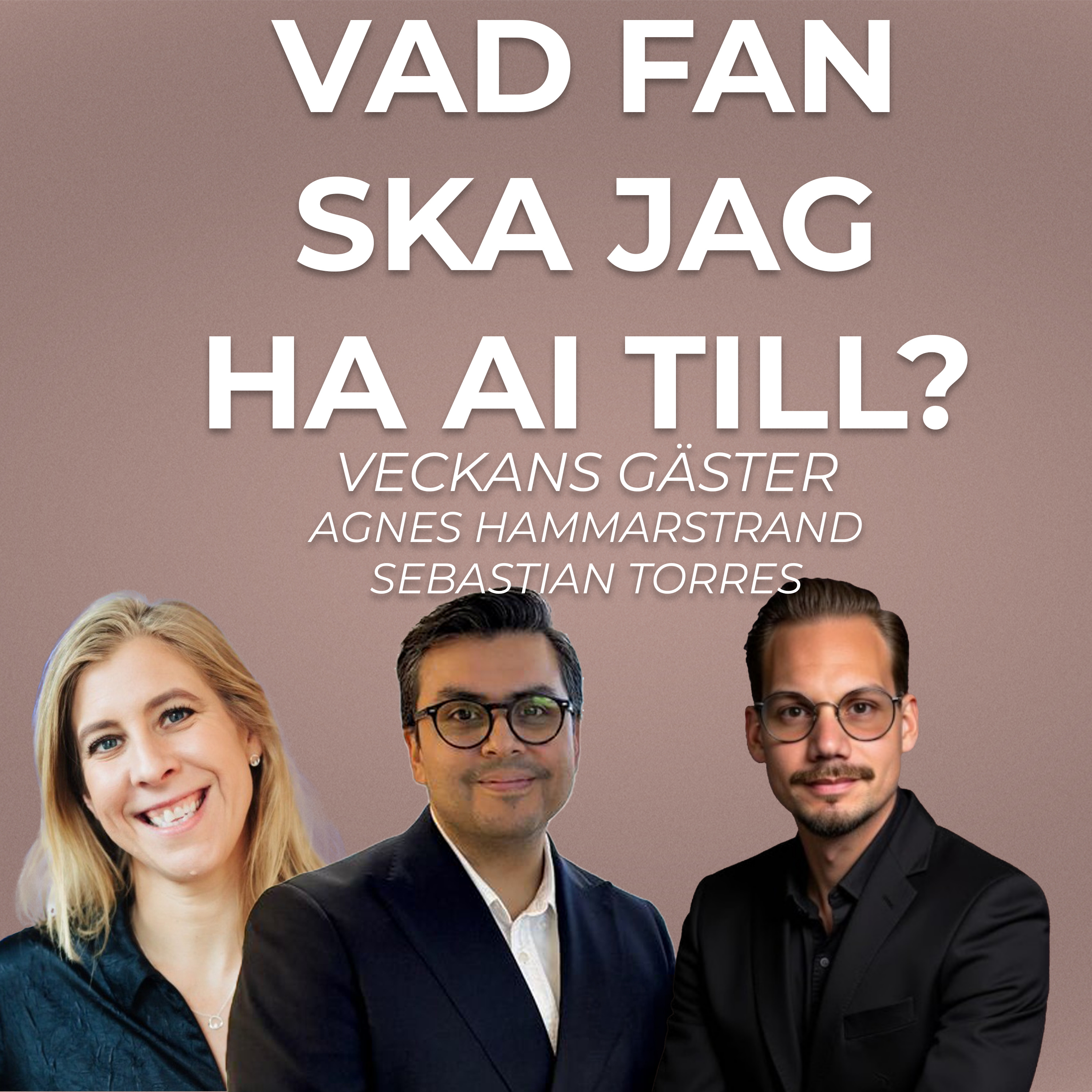 Vad fan ska jag ha AI till?