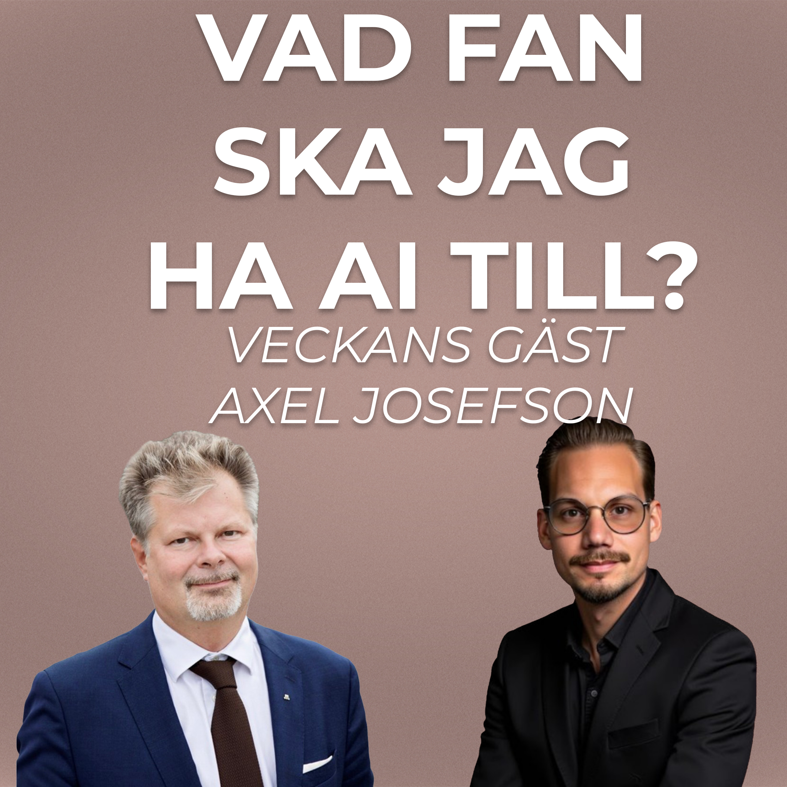 Vad fan ska jag ha AI till?
