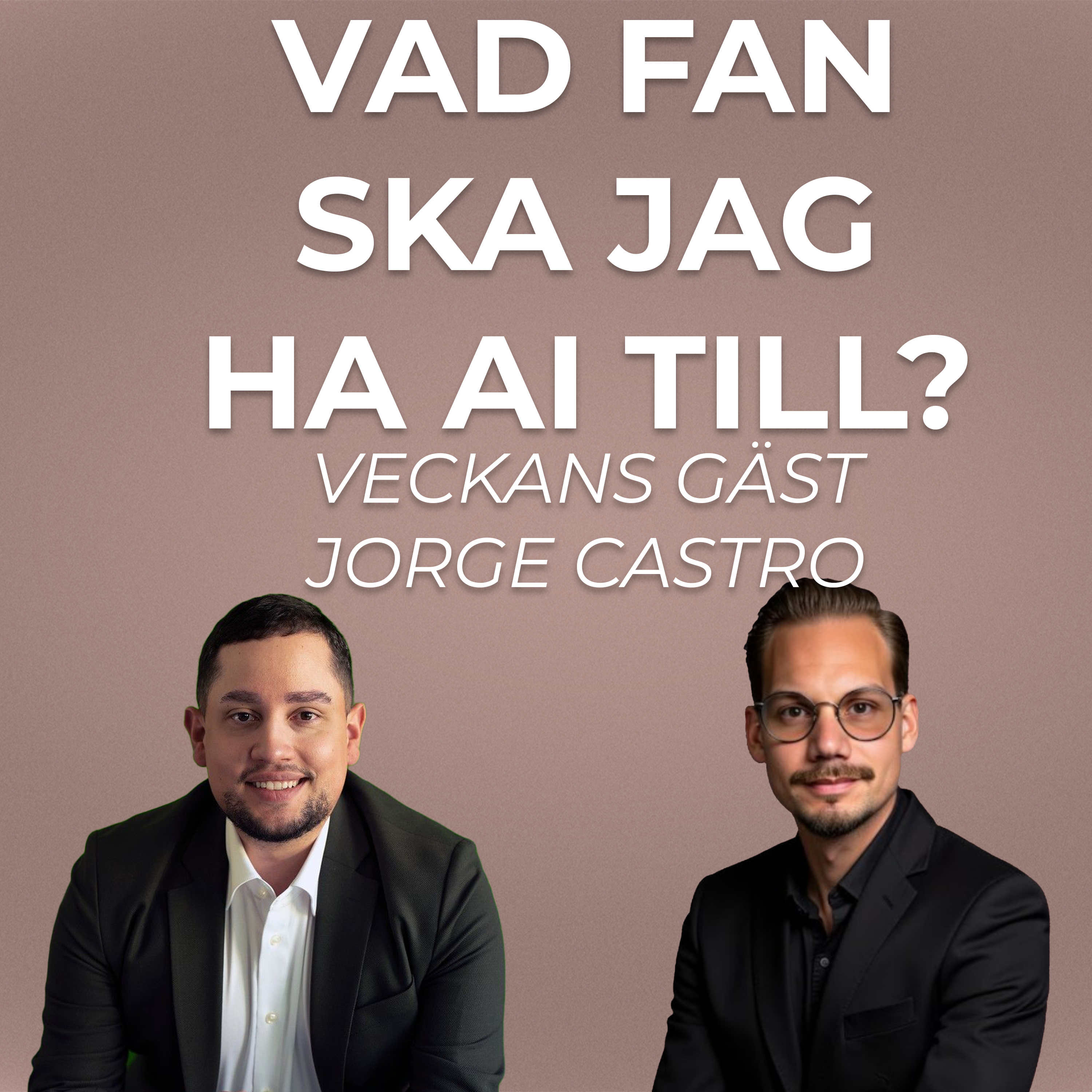Vad fan ska jag ha AI till?