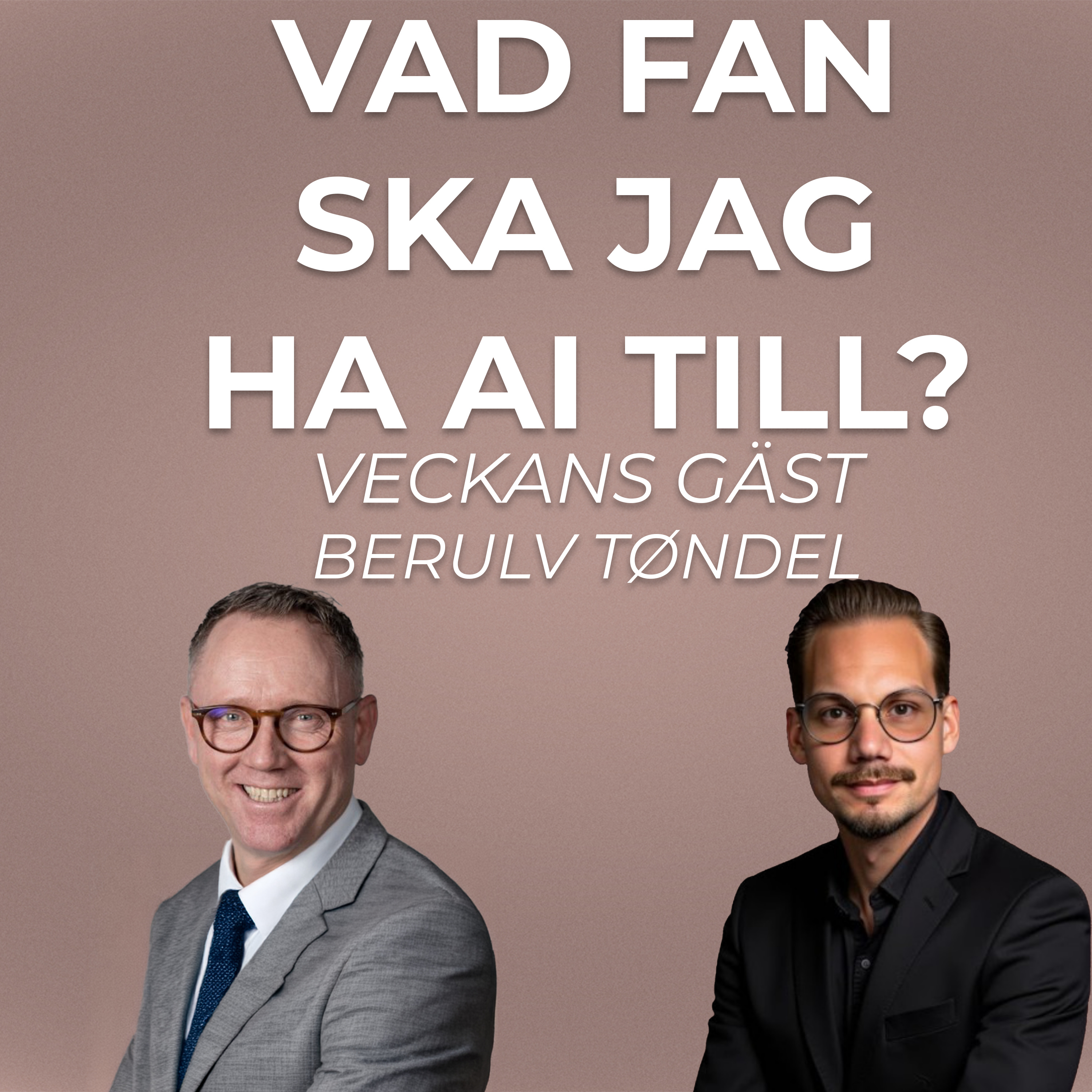 Skippa teorin: Så implementerar du AI i en vanlig organisation med Berulv Töndel episode artwork