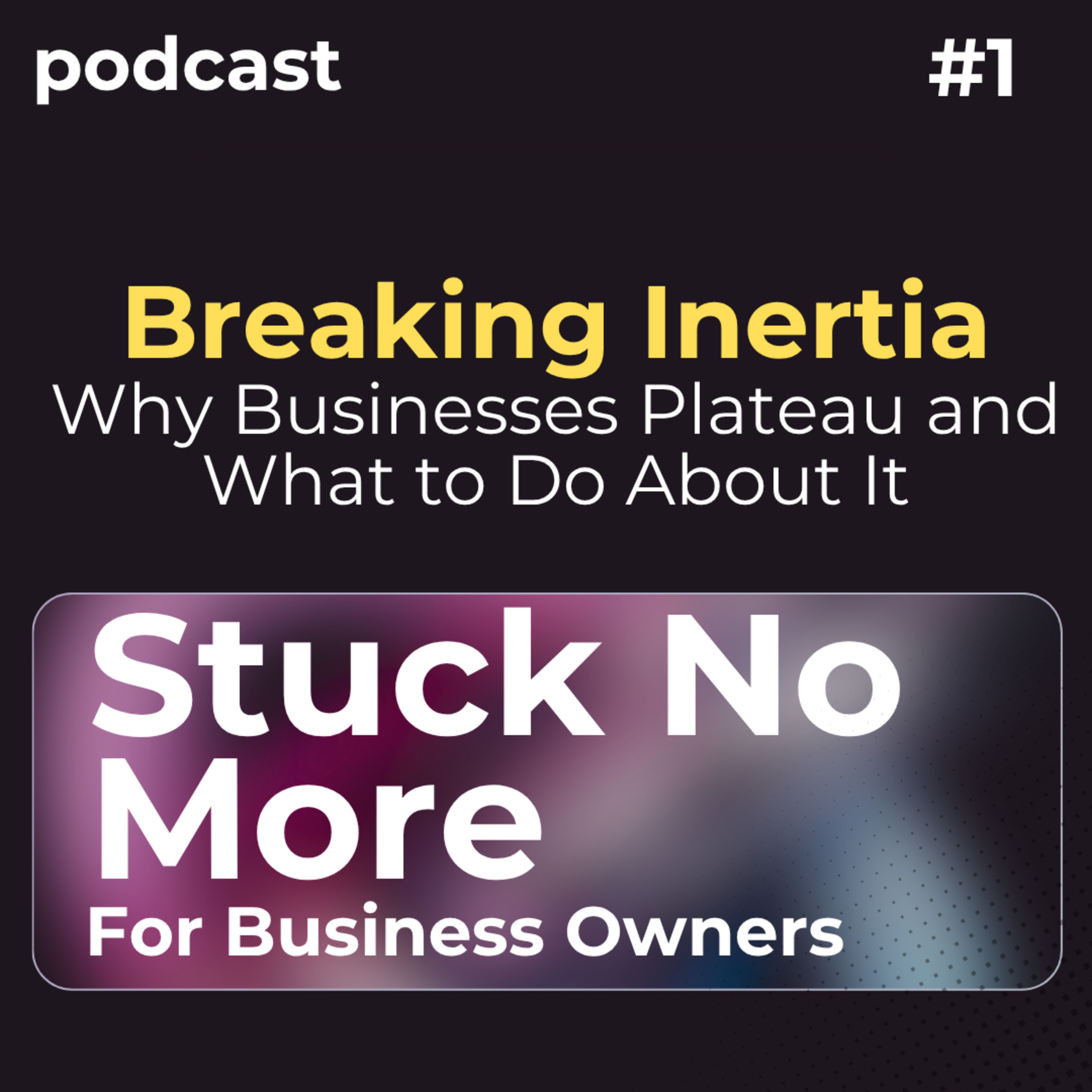 Breaking Inertia: Why Businesses Plateau and What to Do About It episode artwork