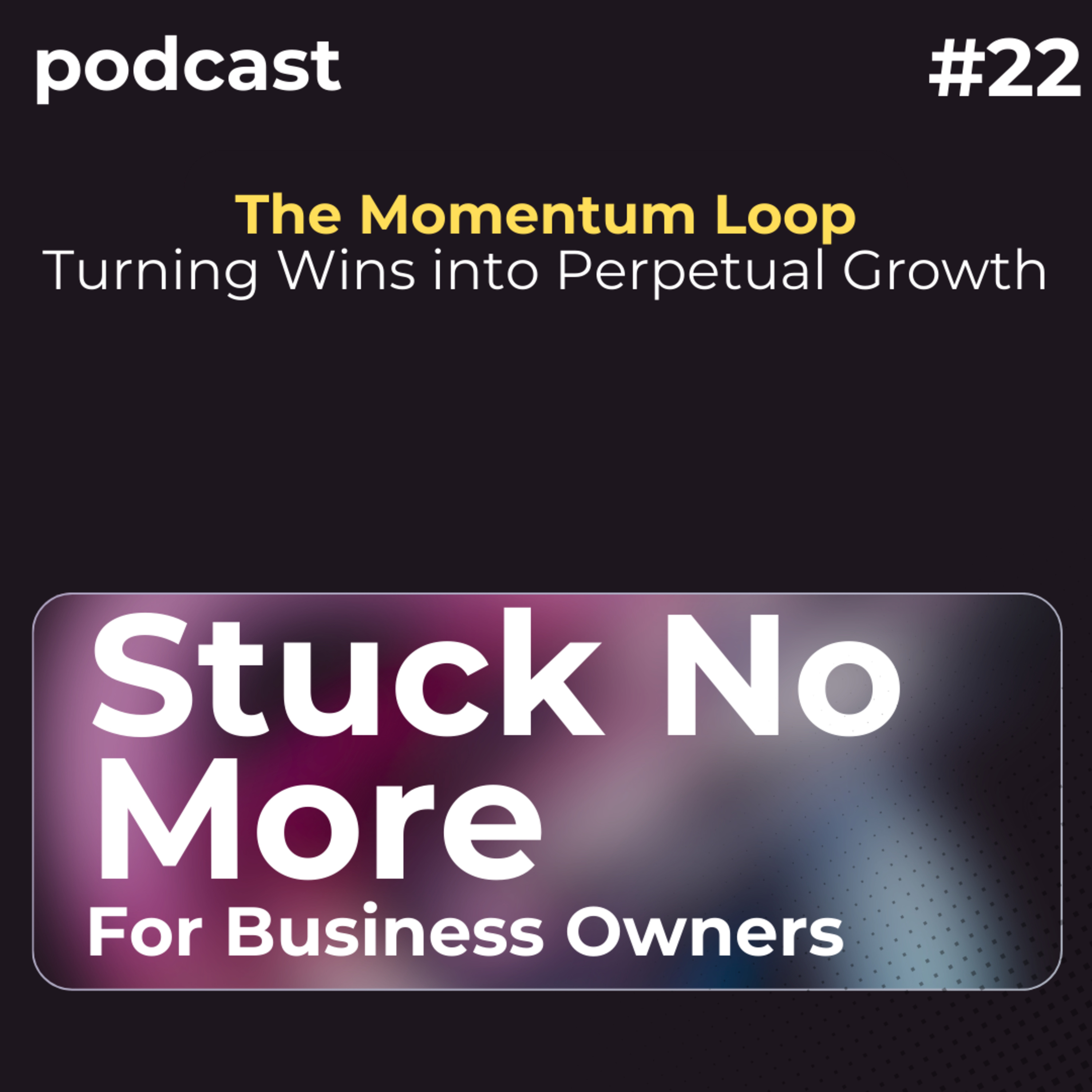The Momentum Loop: The Secret Growth Engine 99% of Founders Ignore episode artwork