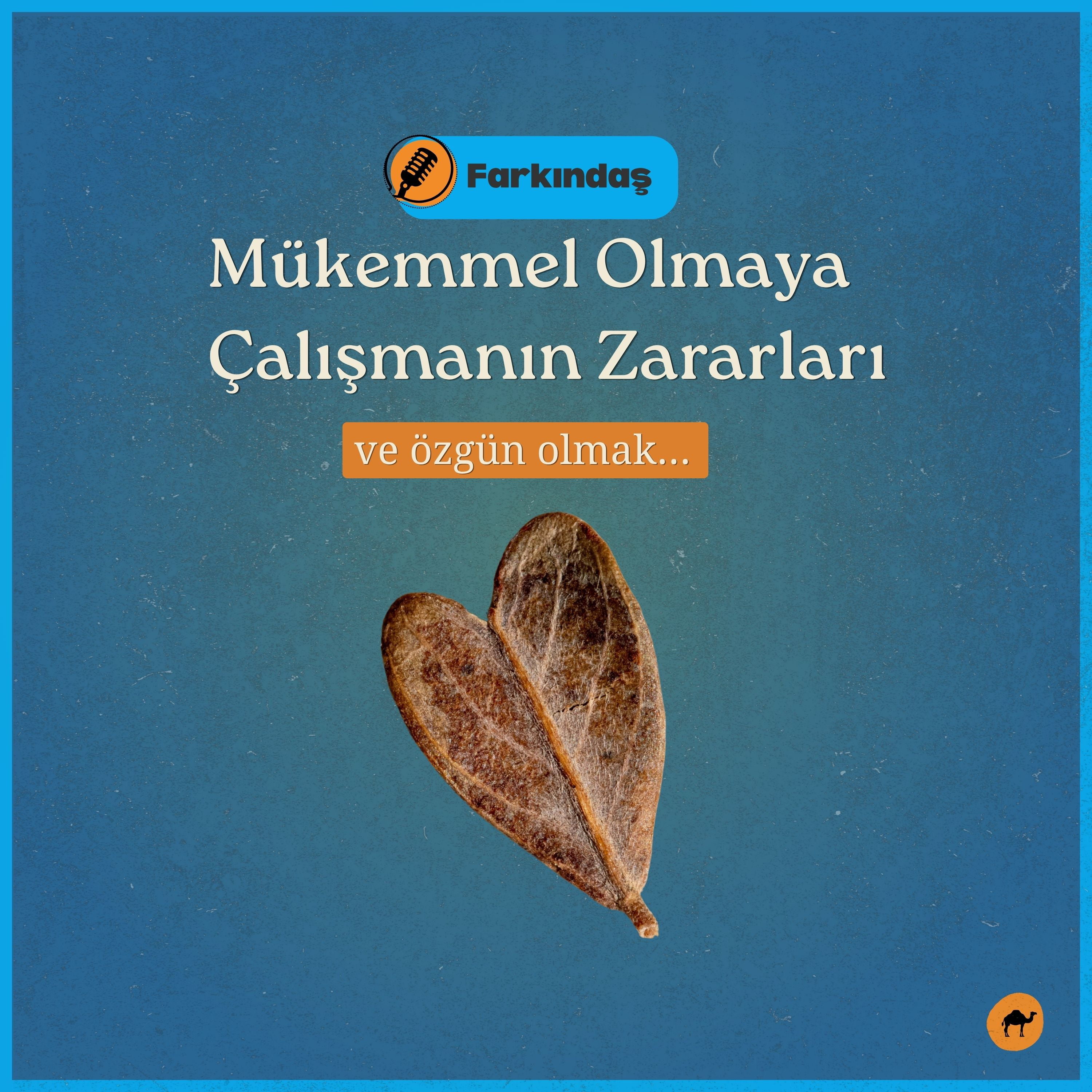 Mükemmel Olmaya Çalışmanın Zararları ve Özgün Olmak  episode artwork