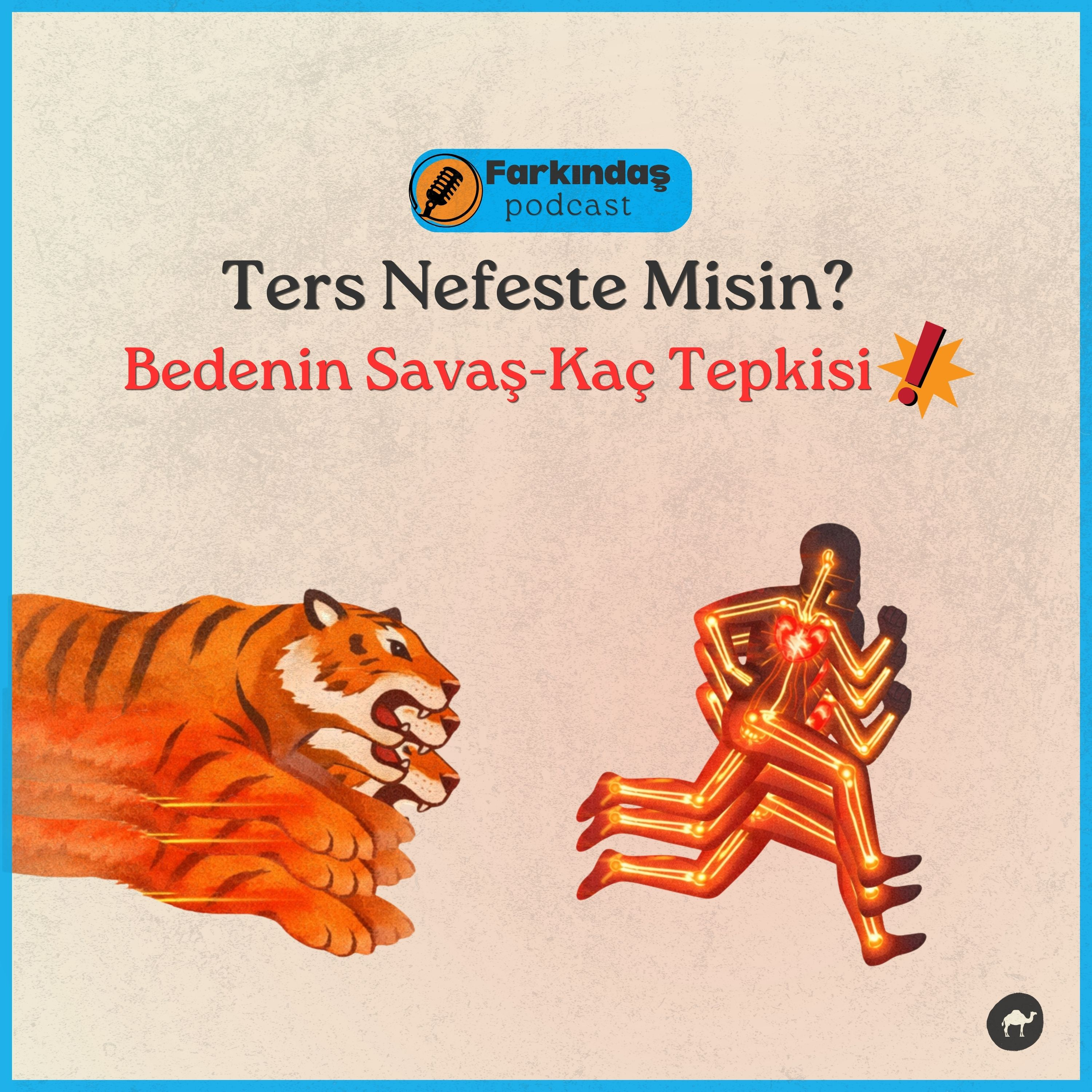 Farkındaş