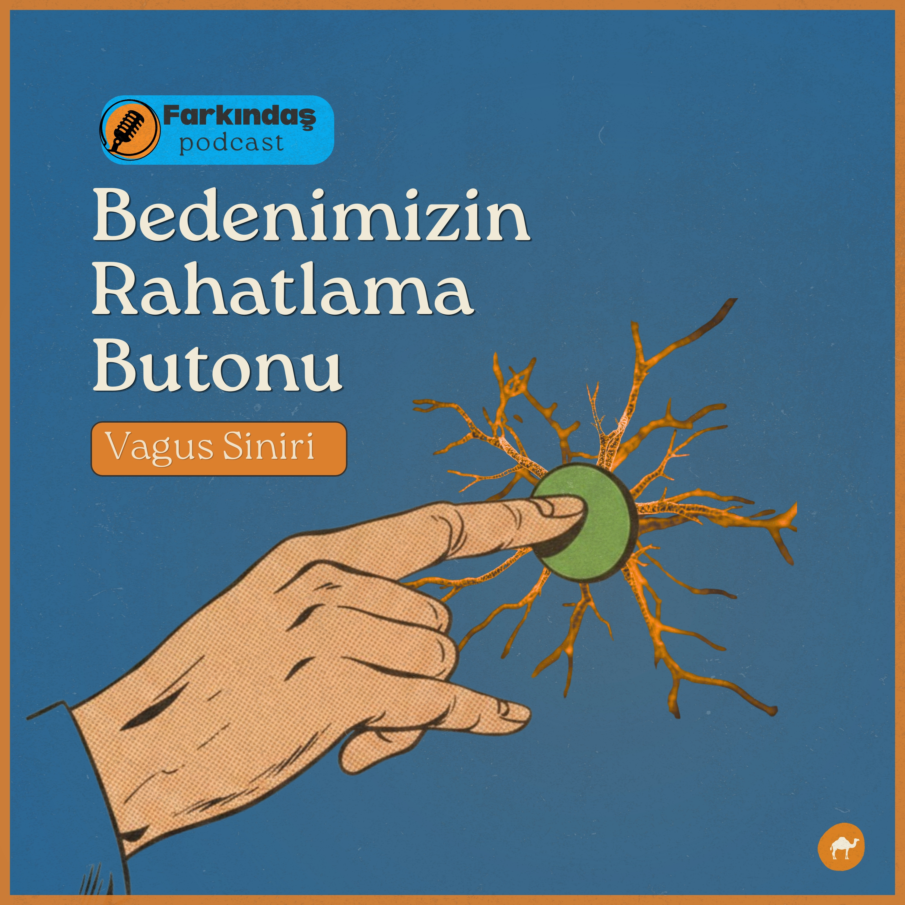 Farkındaş