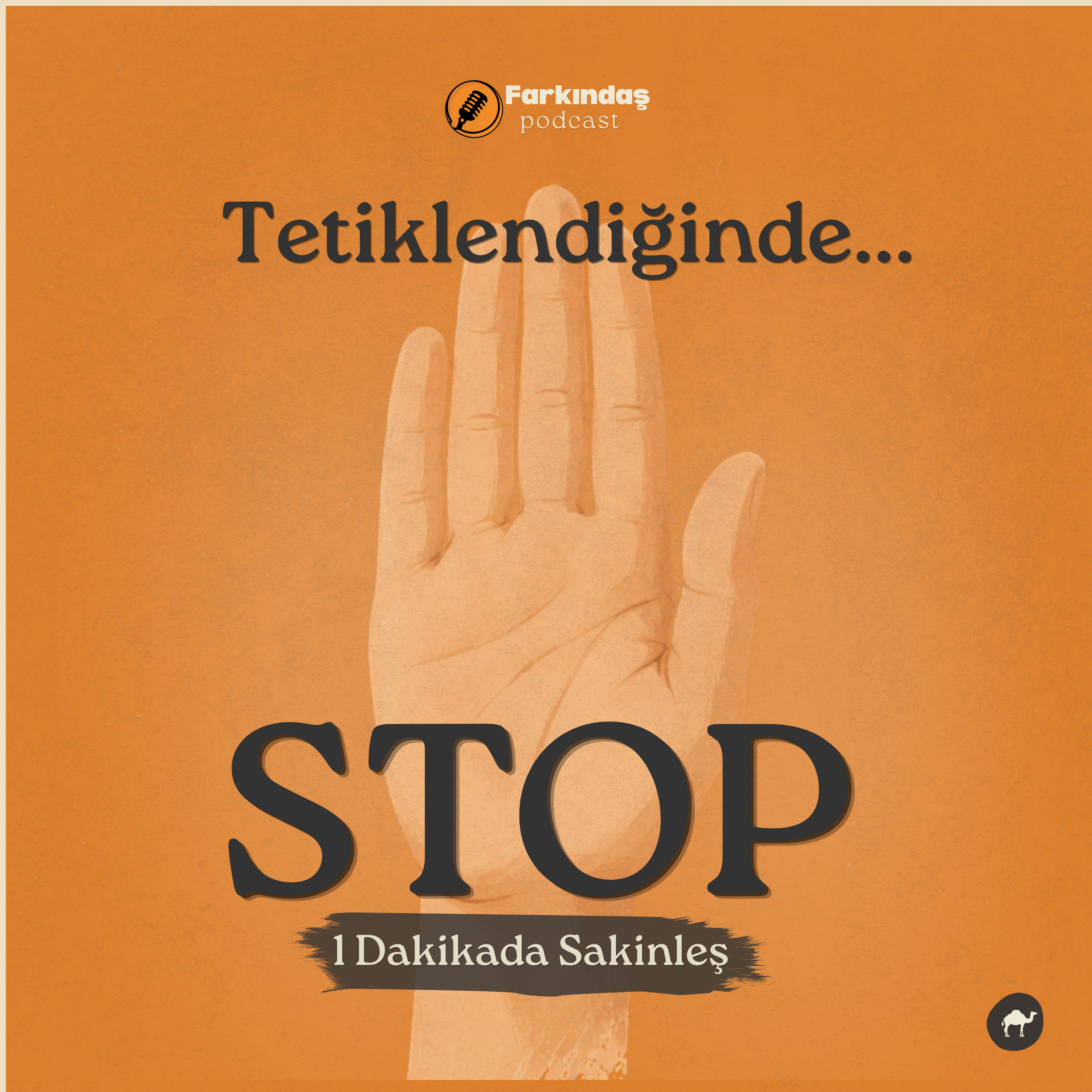 Farkındaş