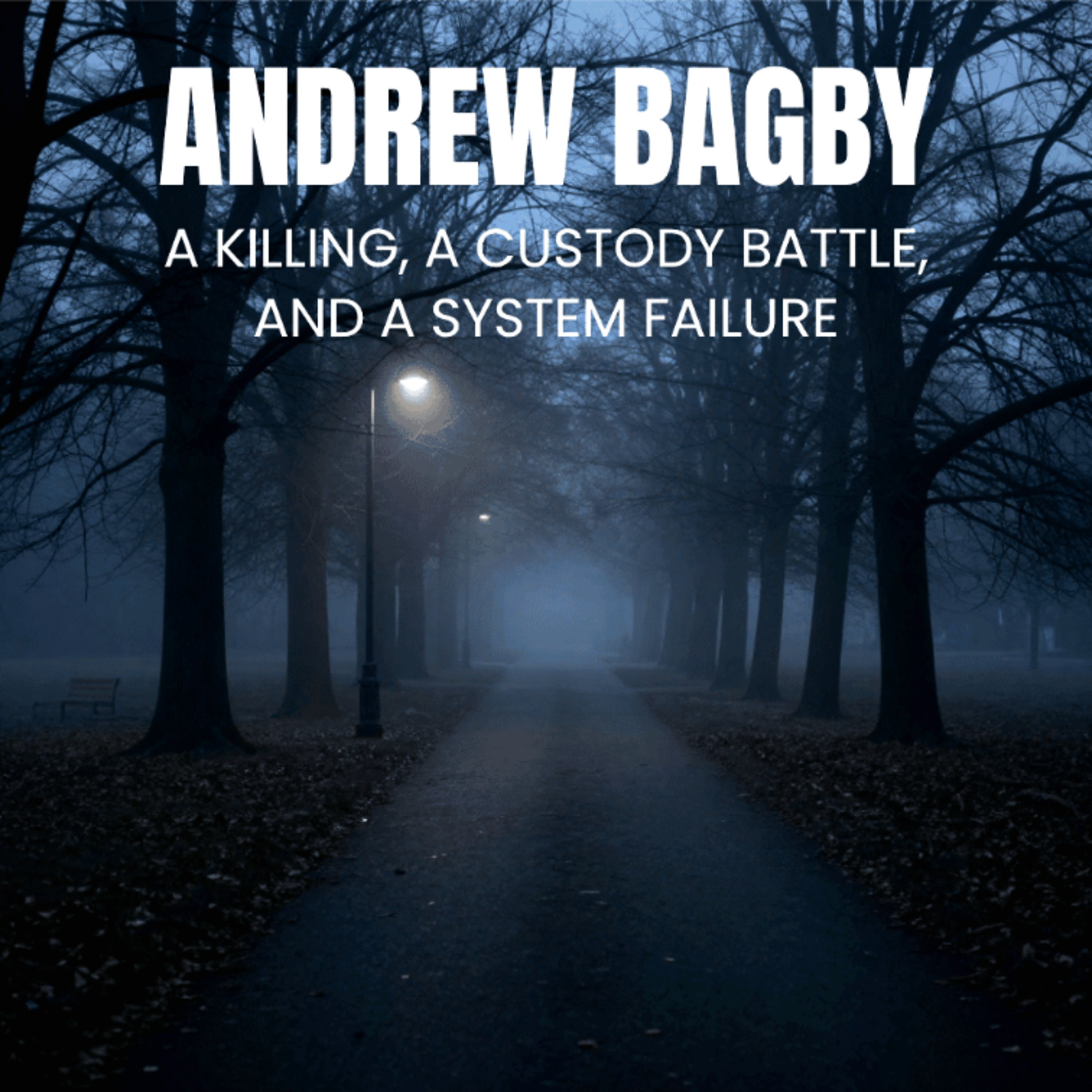 Andrew Bagby: A Killing, A Custody Battle, and a System Failure (E156) episode artwork