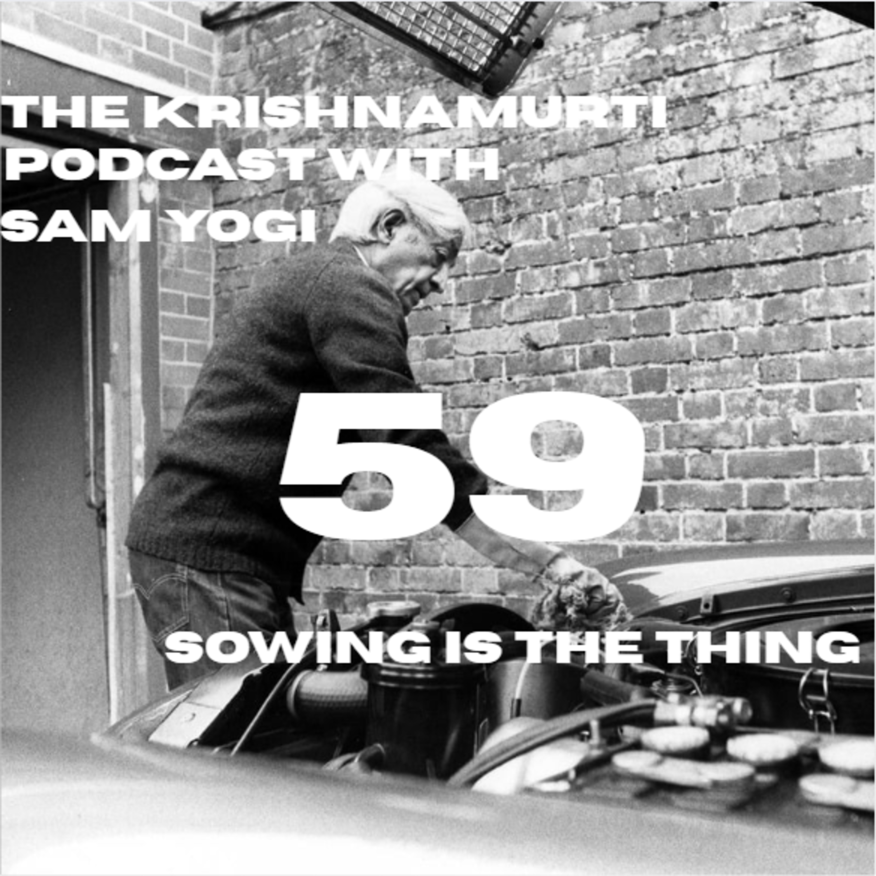 Daily Podcasts with Sam Yogi