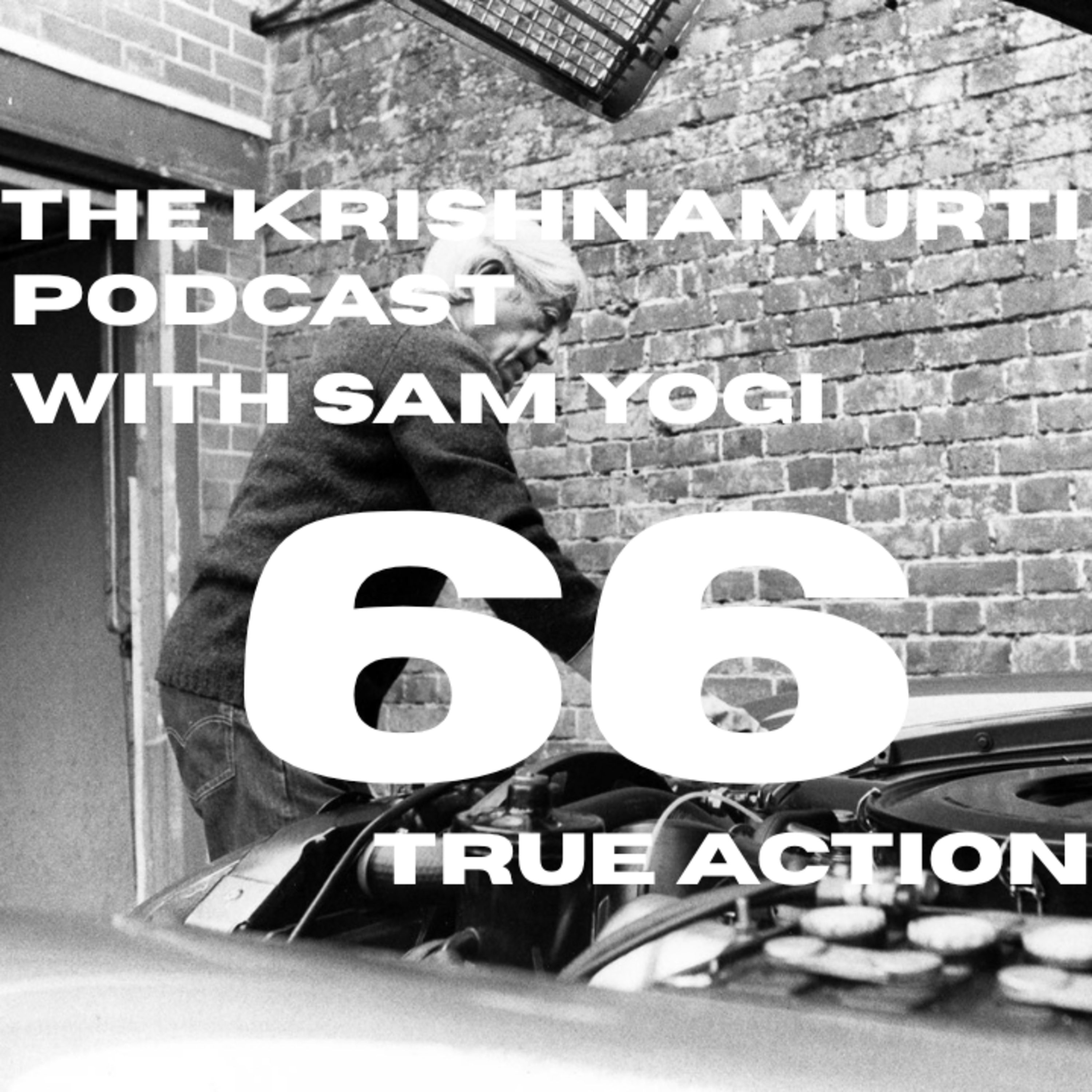 Daily Podcasts with Sam Yogi