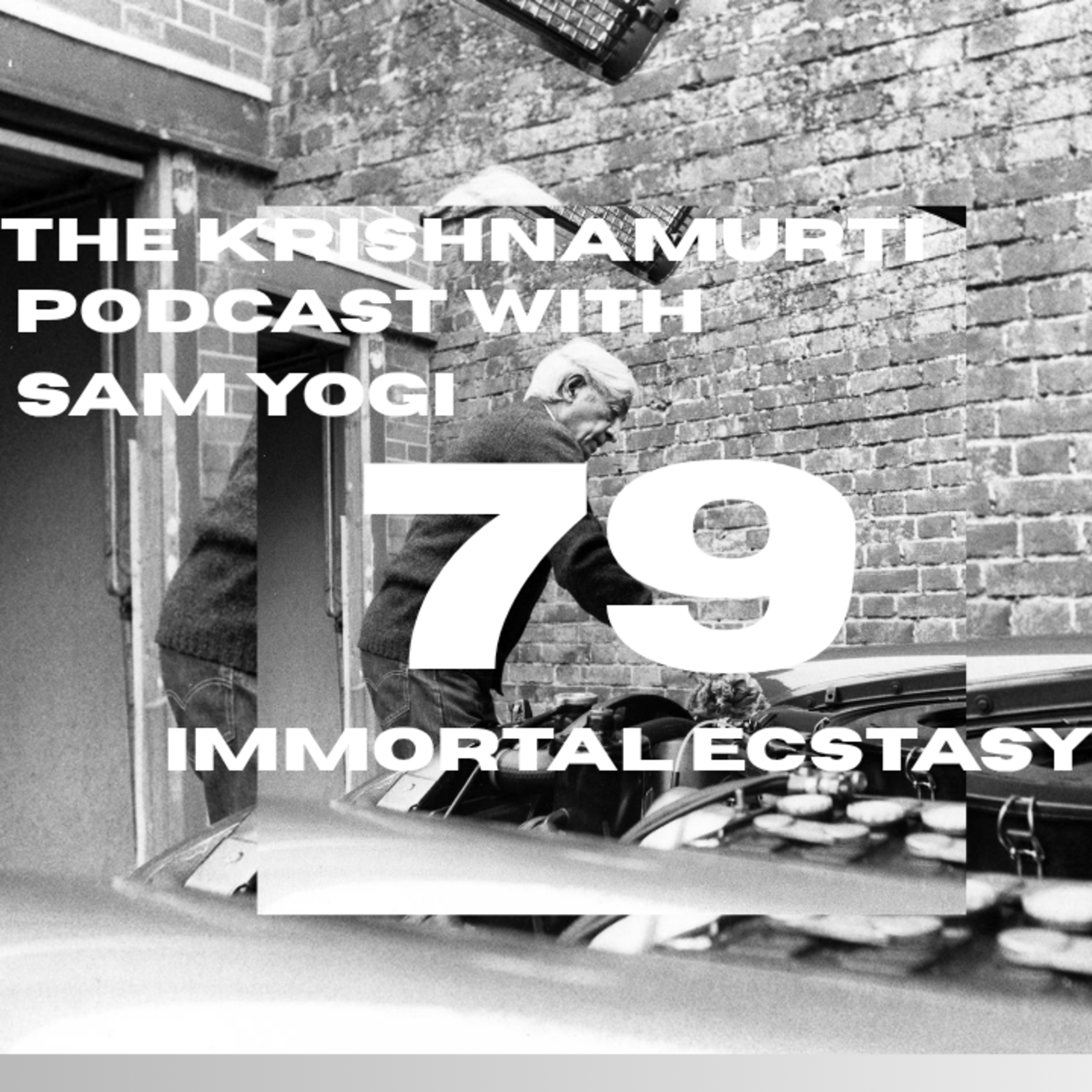 Daily Podcasts with Sam Yogi