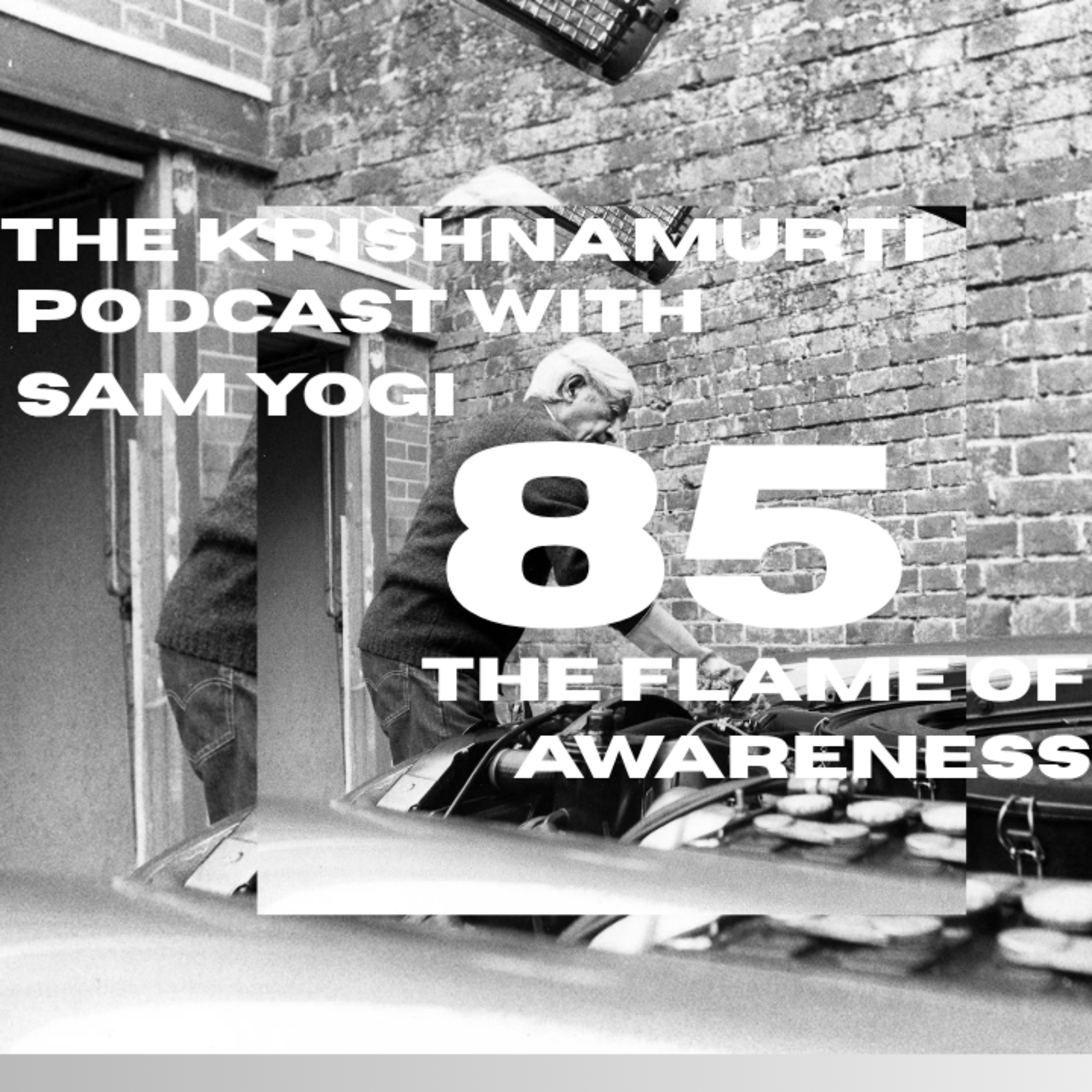 Daily Podcasts with Sam Yogi