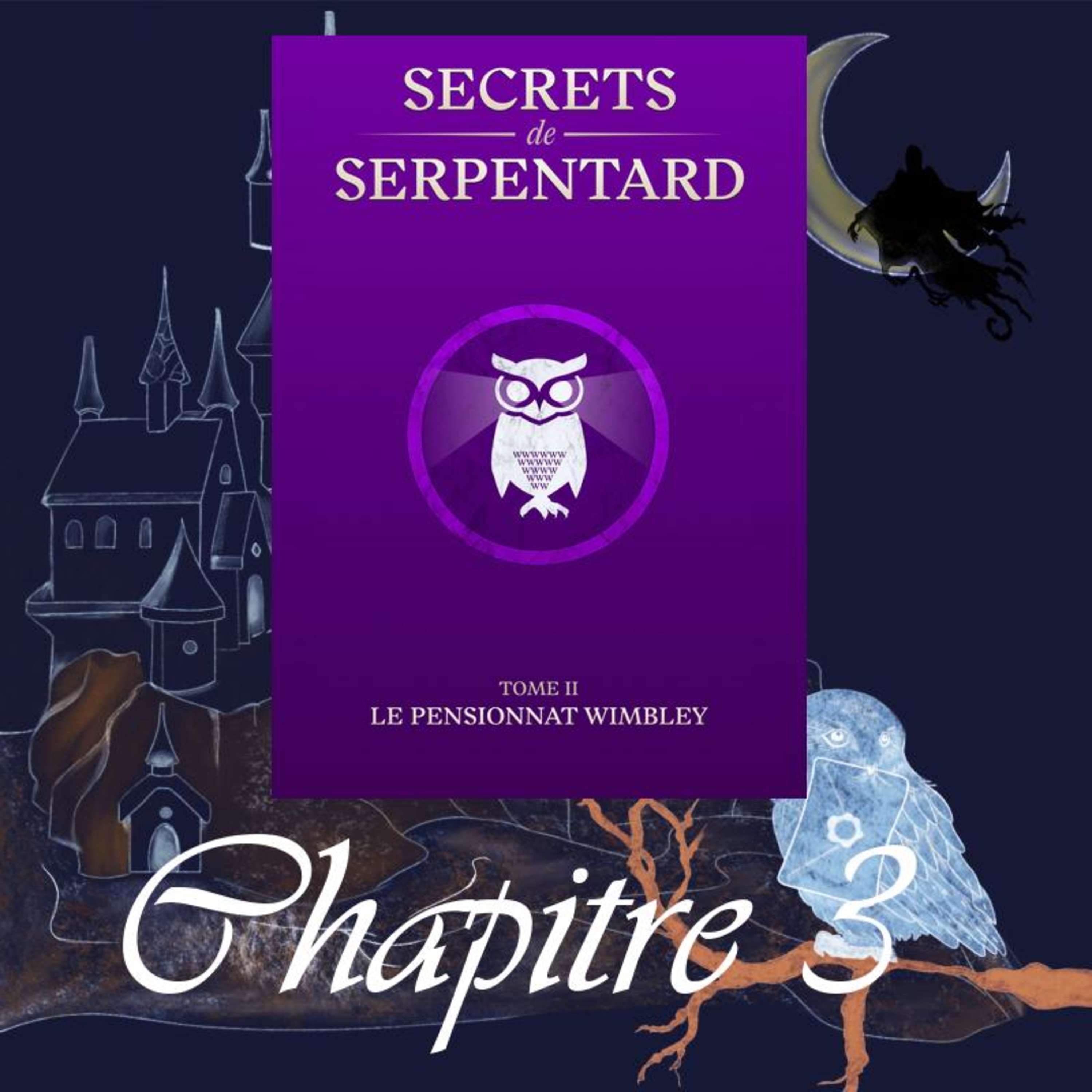 Secrets de Serpentard - Tome 2 - Chap. 3 - Chez les Goyles episode artwork