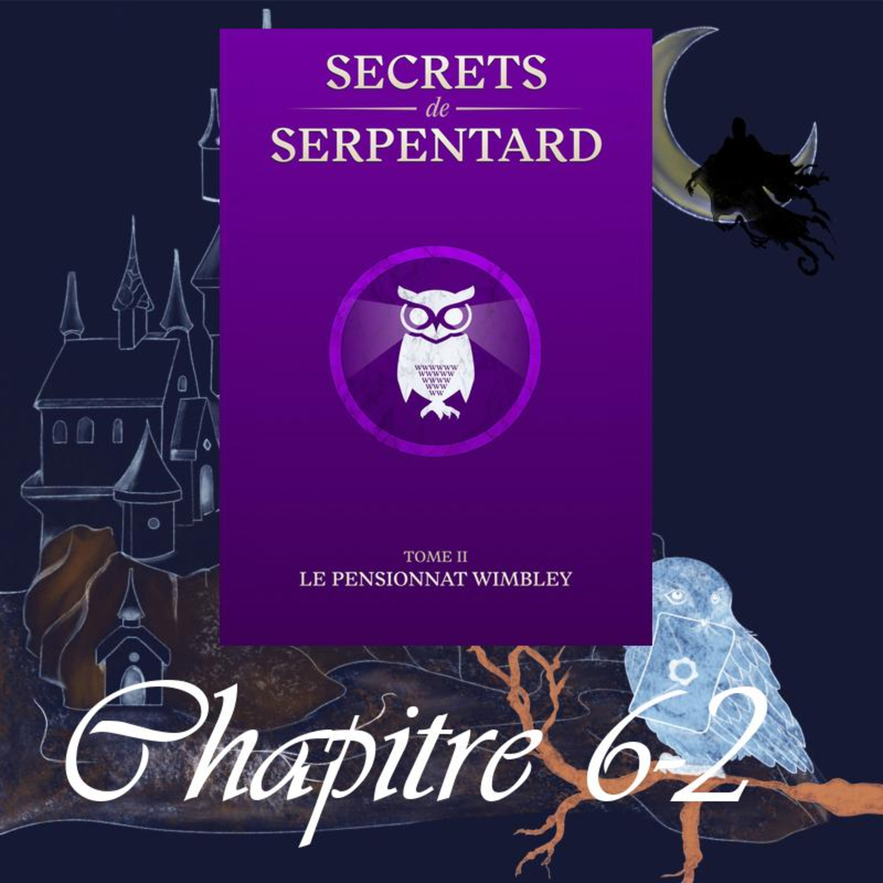 Secrets de Serpentard - Tome 2 - Chap. 6 -Le fils prodige - partie 2
