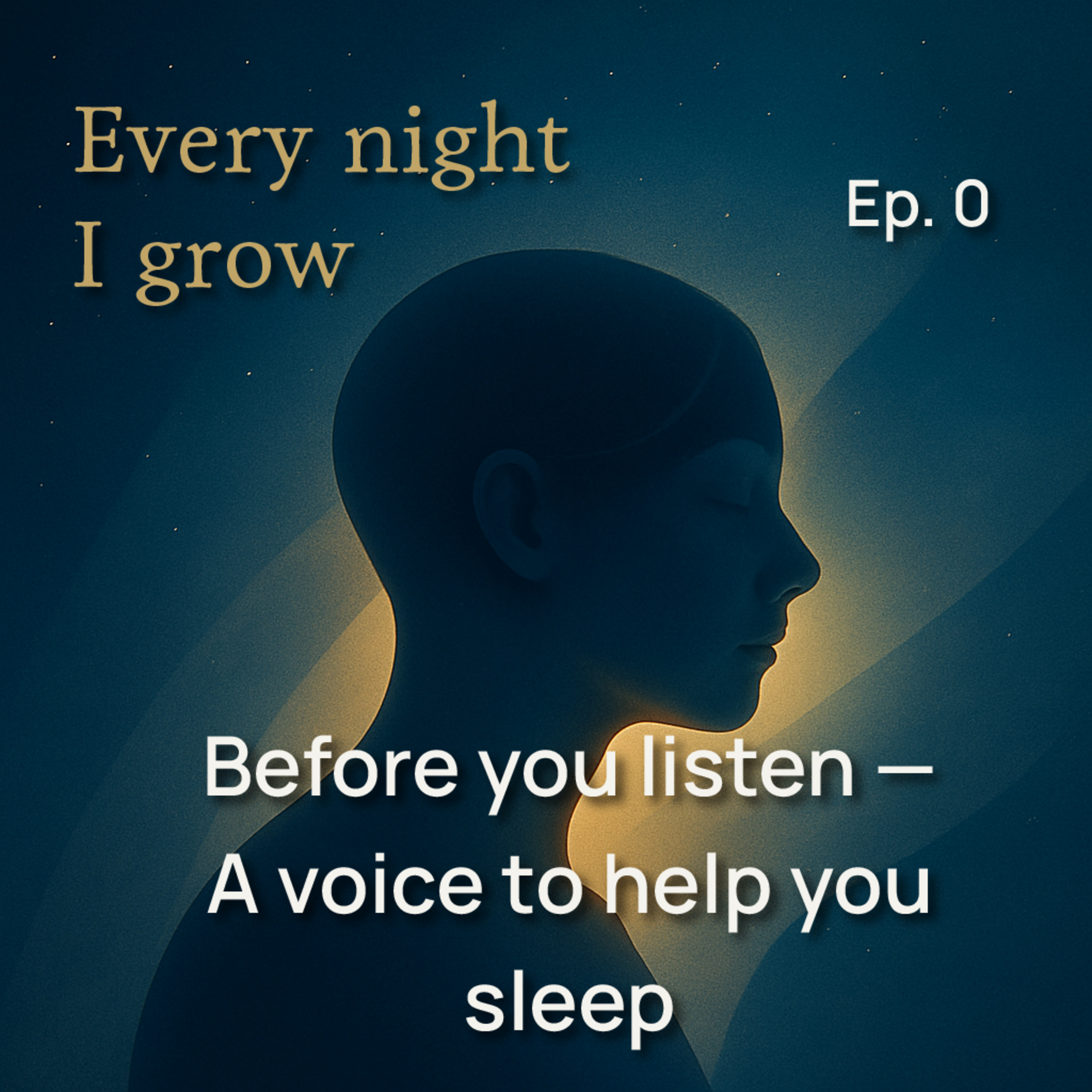 Before you listen — A voice to help you sleep episode artwork