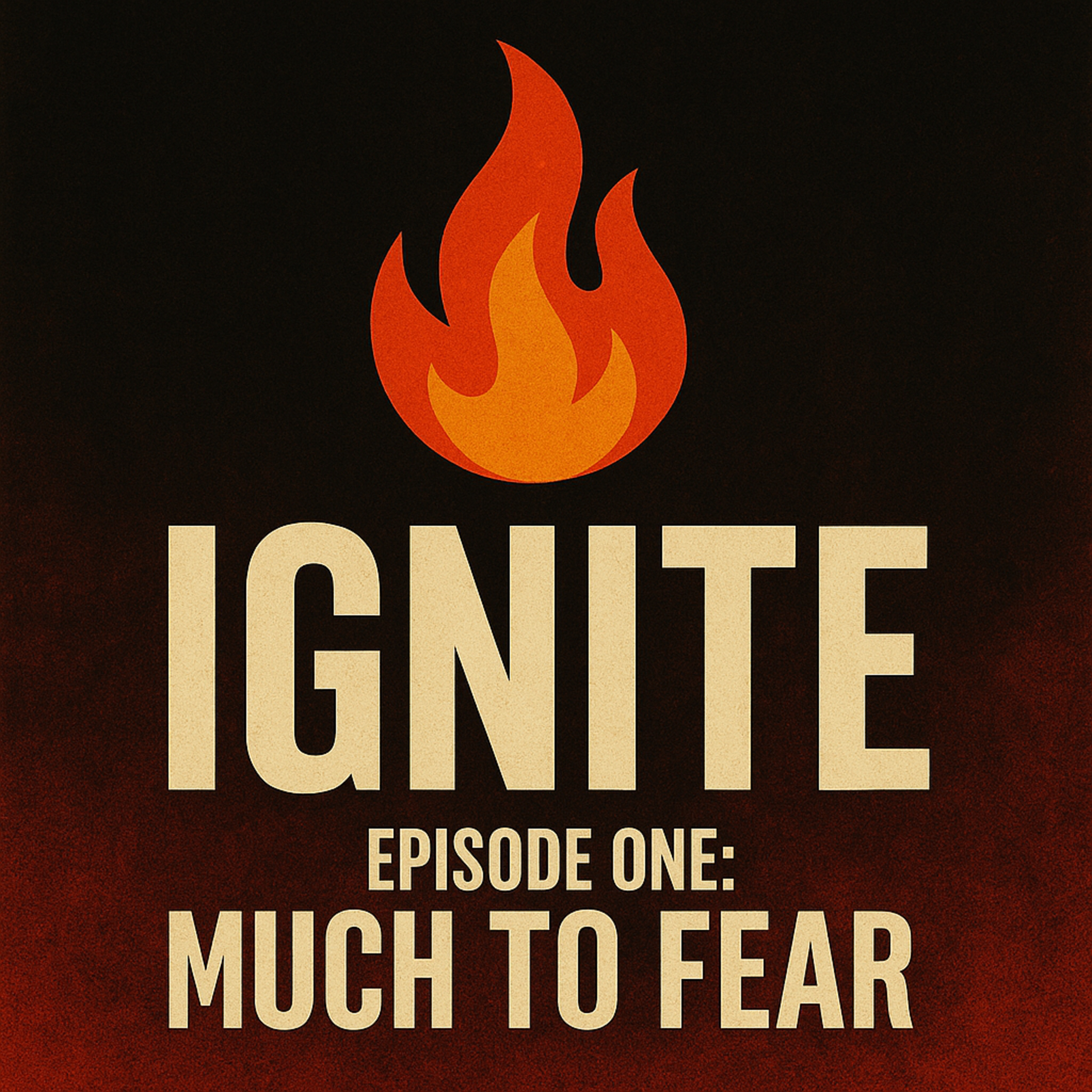 How To Fight Fascism - We have Much To Fear episode artwork