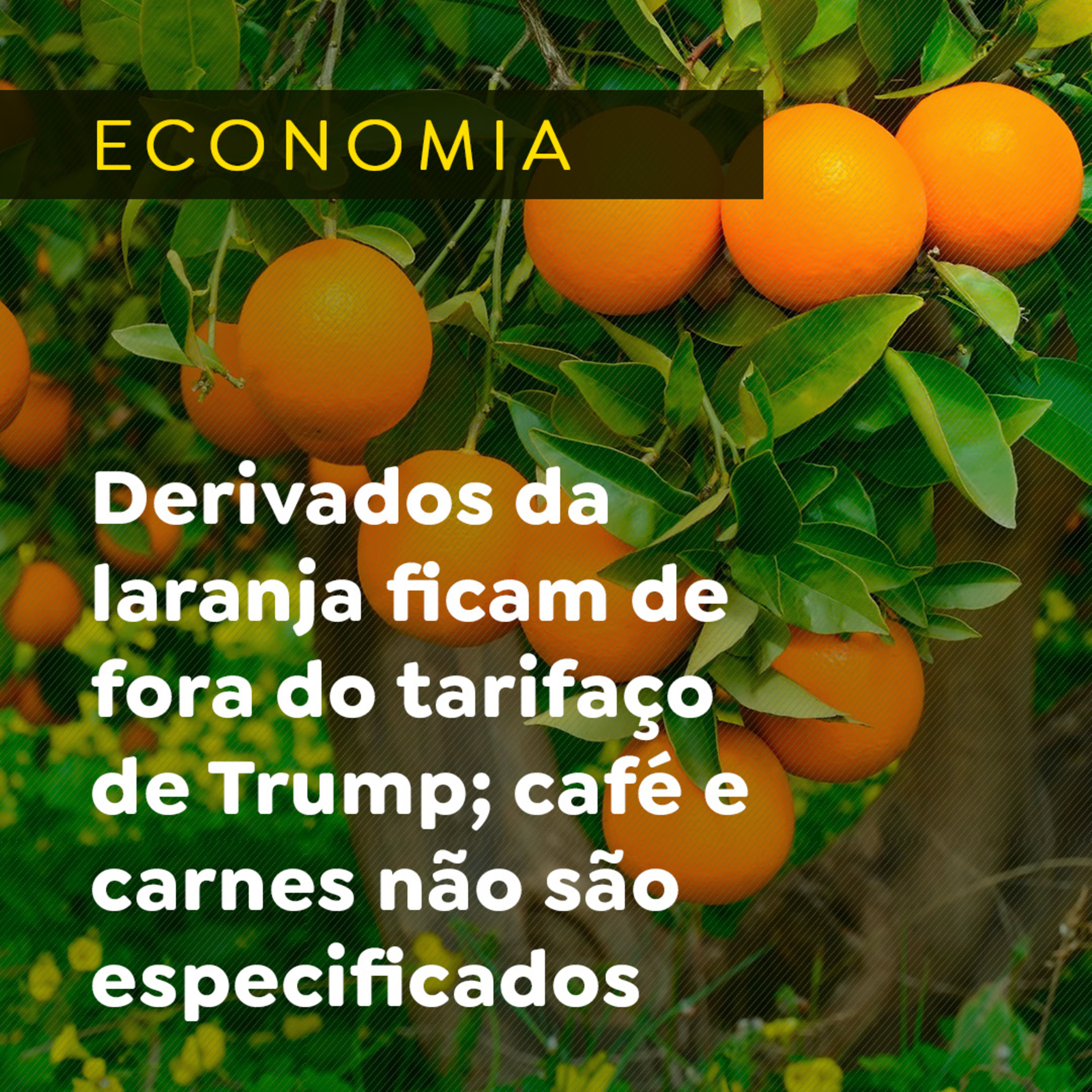 Paracatu Rural - Jornal do agronegócio