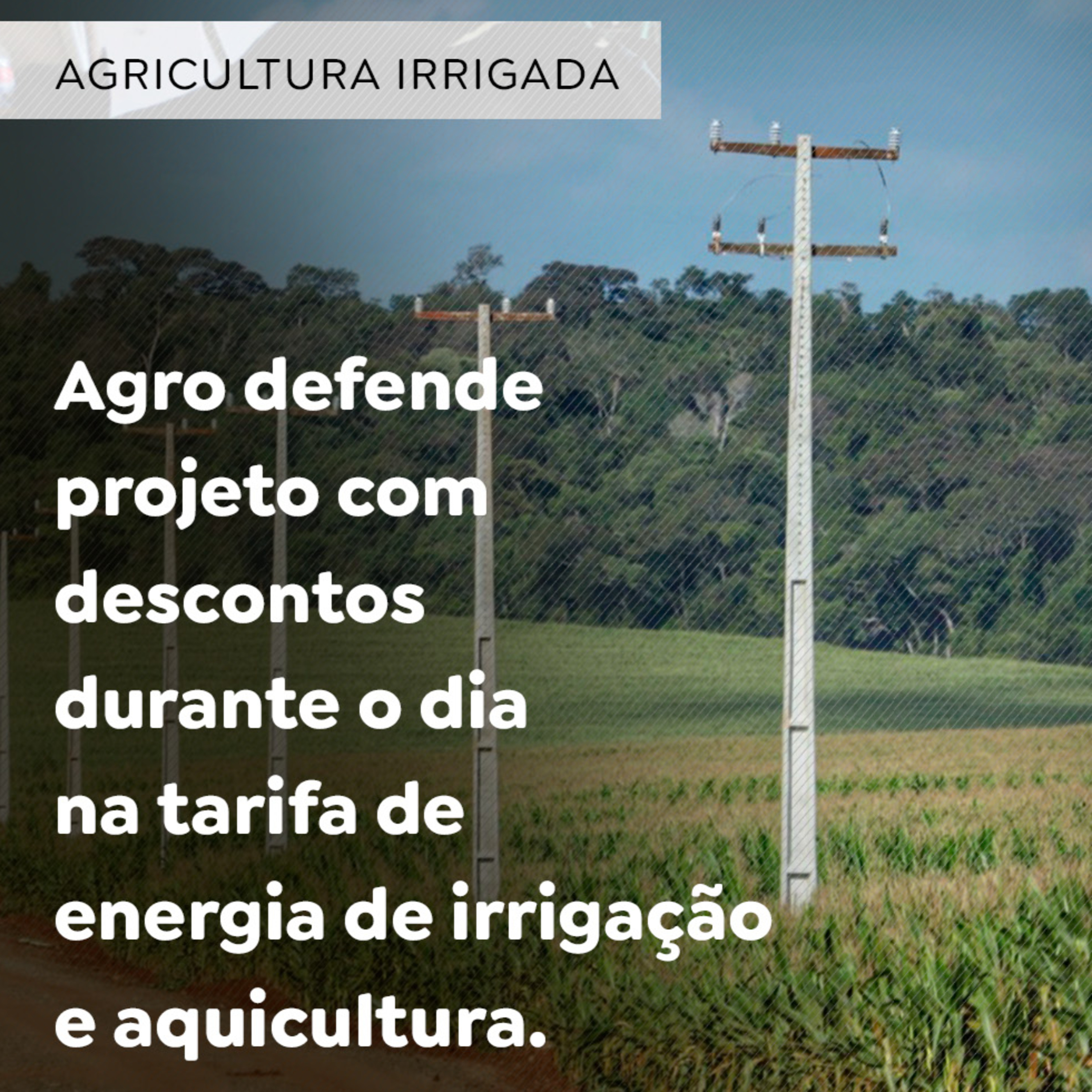 Paracatu Rural - Jornal do agronegócio