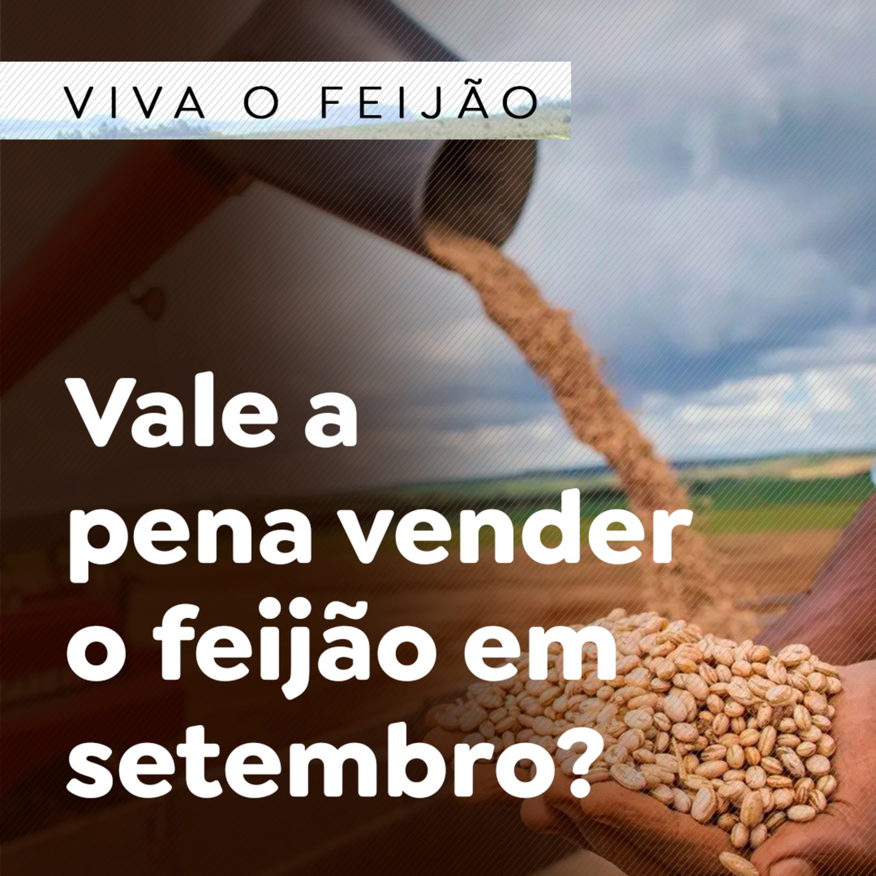 Paracatu Rural - Jornal do agronegócio